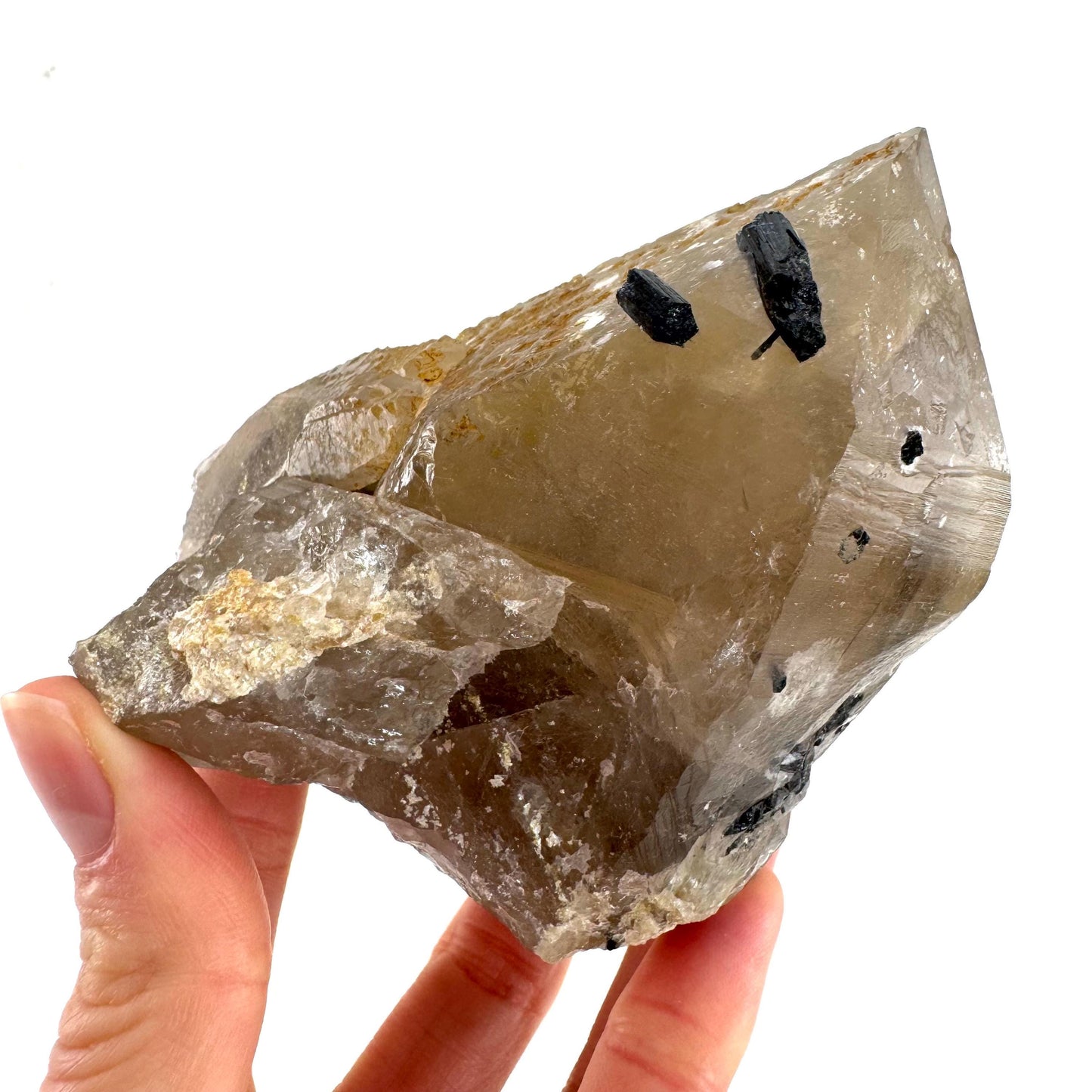 Black Tourmaline on Smoky Quartz | schorl crystal cluster, mineral specimen from Namibia