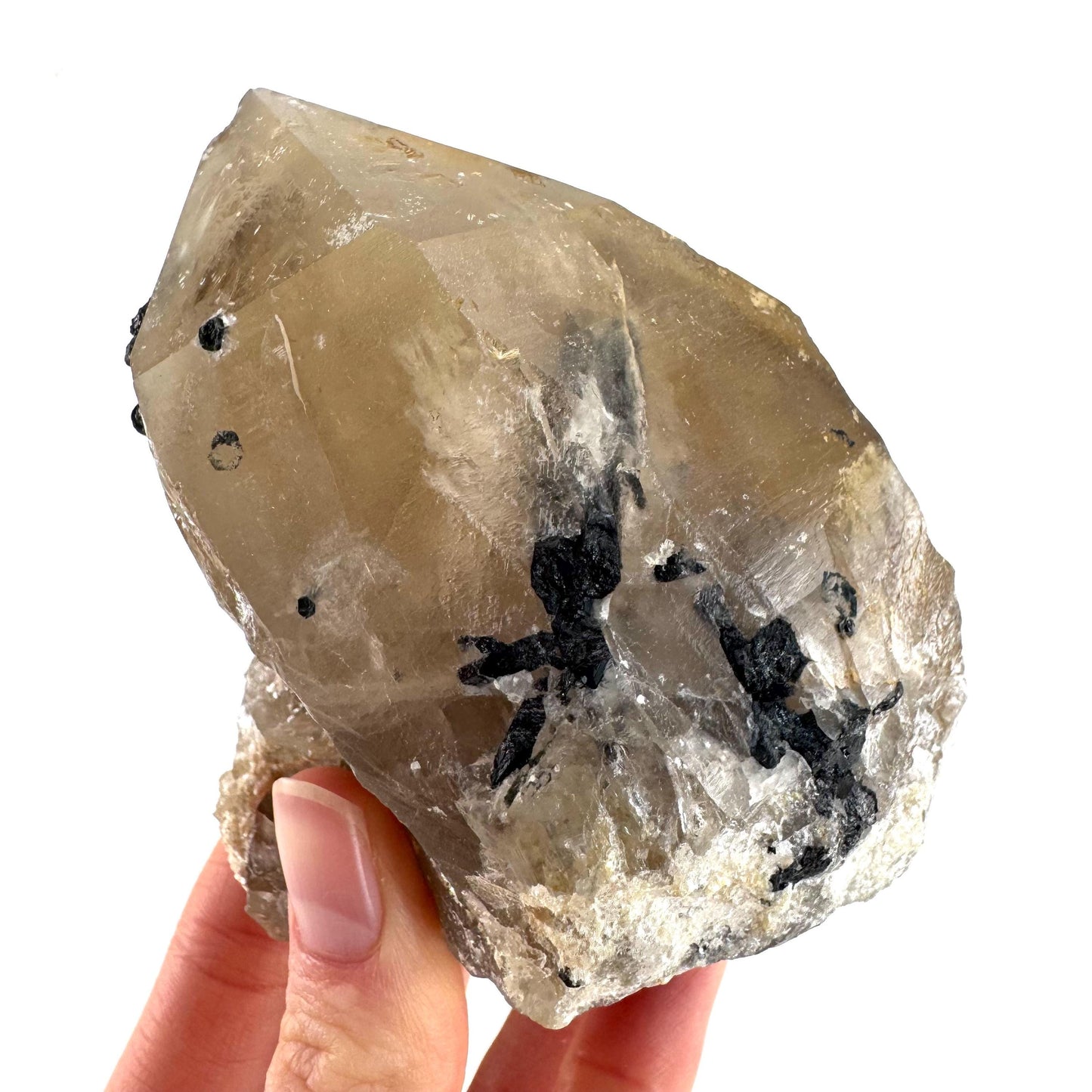 Black Tourmaline on Smoky Quartz | schorl crystal cluster, mineral specimen from Namibia