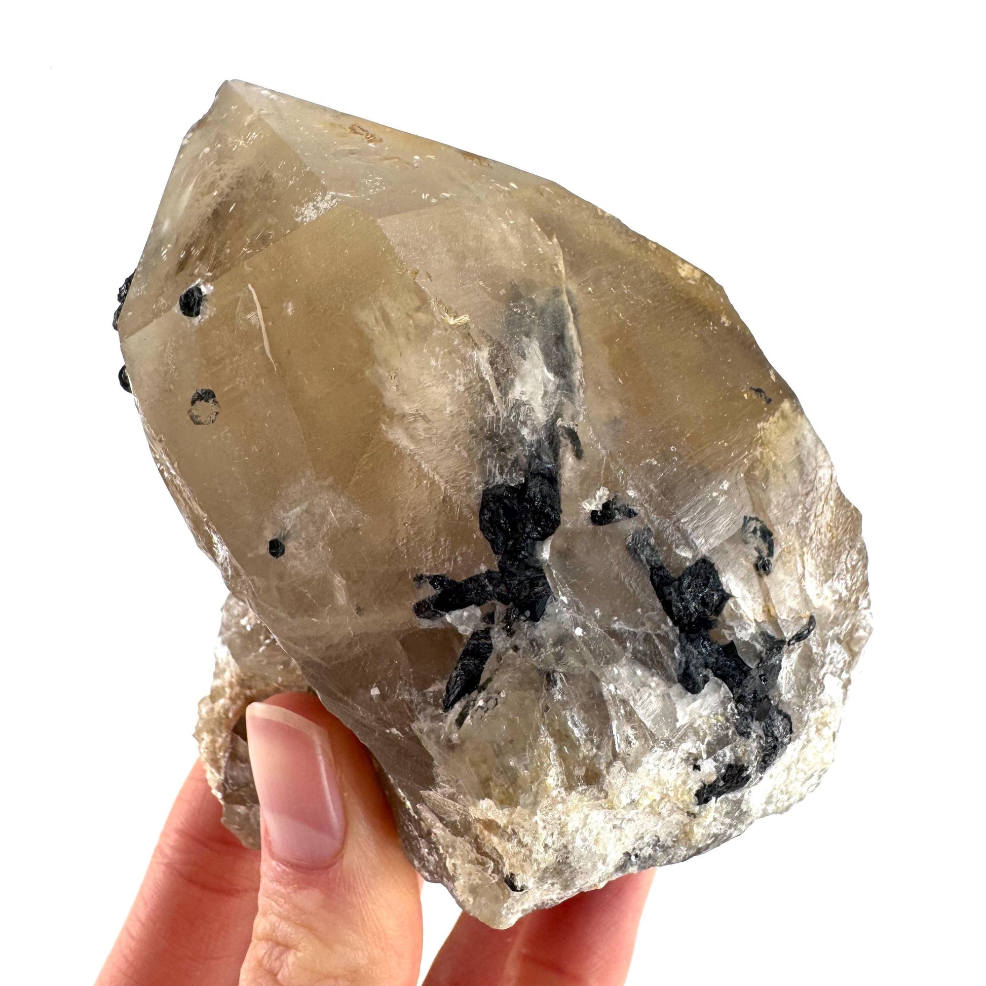 Black Tourmaline on Smoky Quartz | schorl crystal cluster, mineral specimen from Namibia