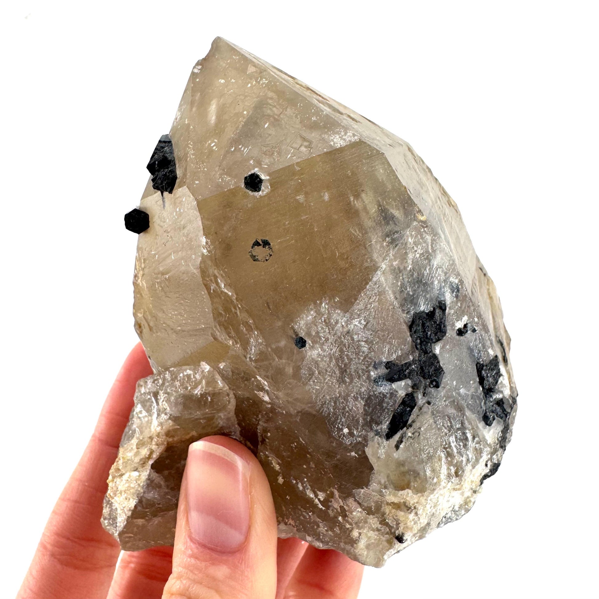 Black Tourmaline on Smoky Quartz | schorl crystal cluster, mineral specimen from Namibia