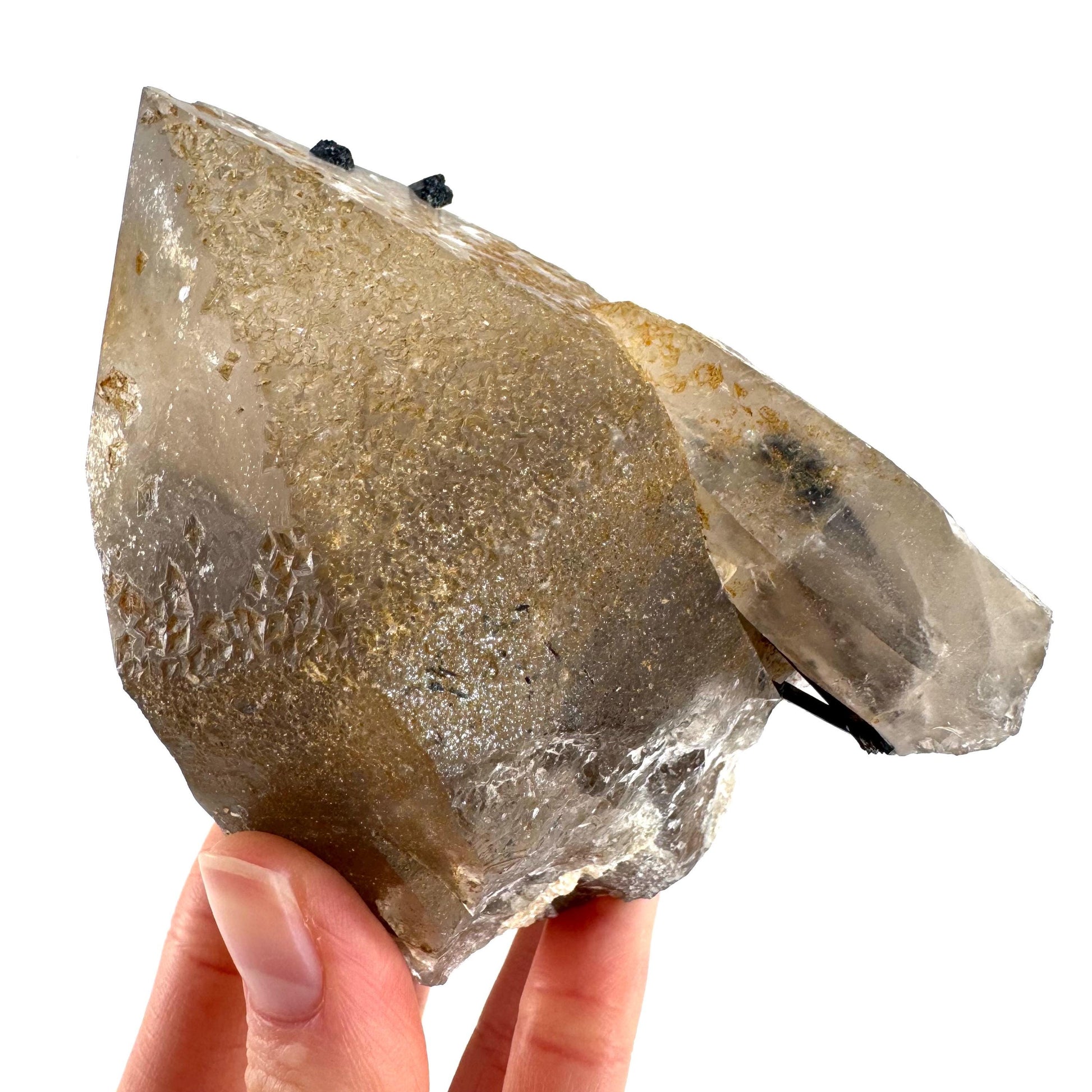 Black Tourmaline on Smoky Quartz | schorl crystal cluster, mineral specimen from Namibia