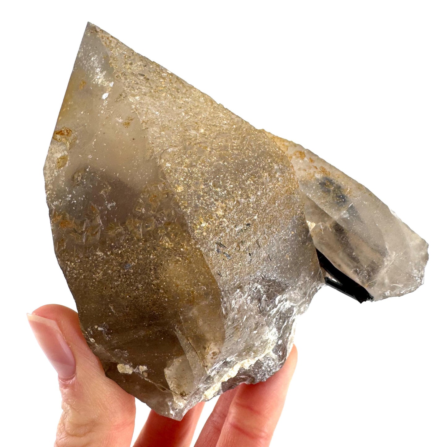 Black Tourmaline on Smoky Quartz | schorl crystal cluster, mineral specimen from Namibia