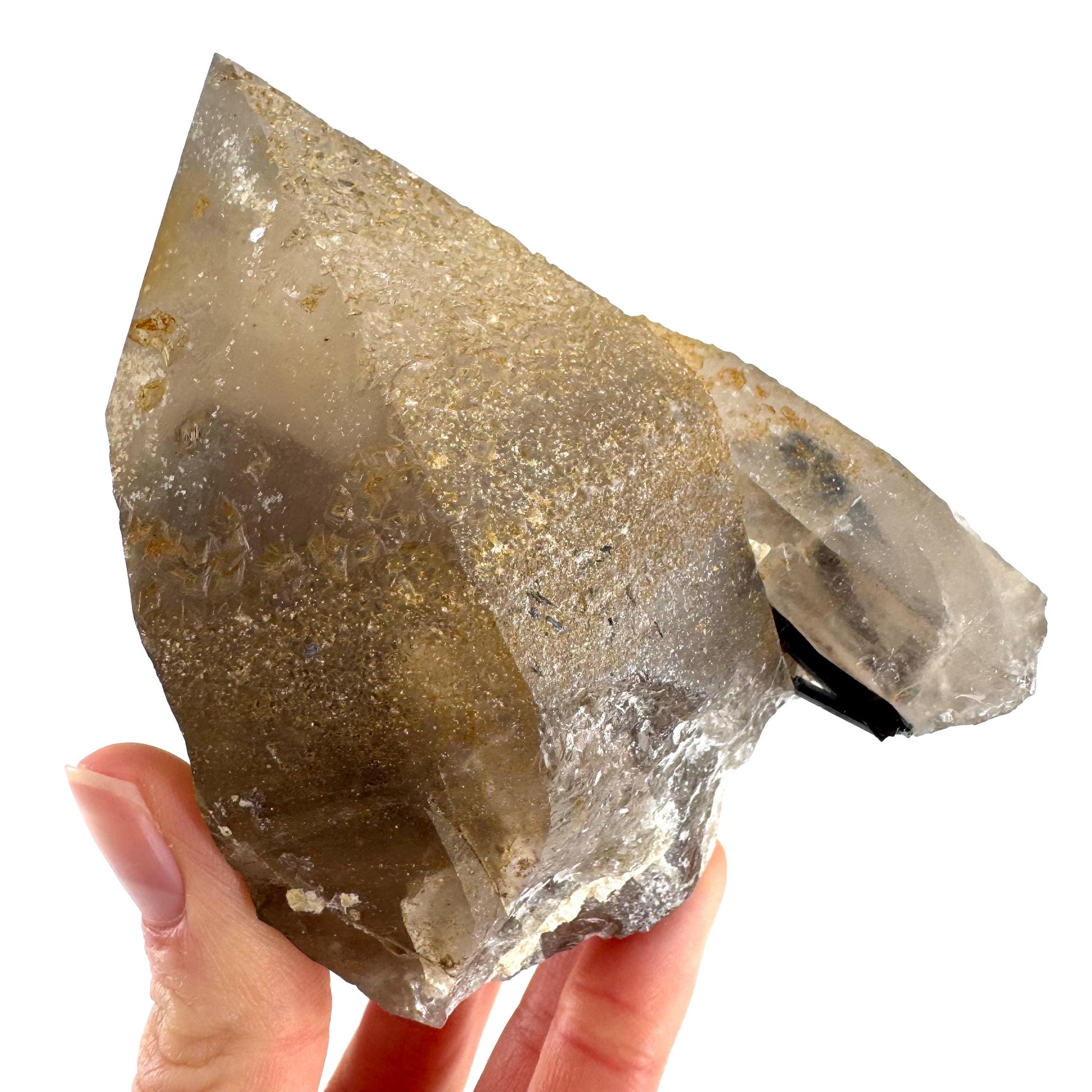 Black Tourmaline on Smoky Quartz | schorl crystal cluster, mineral specimen from Namibia