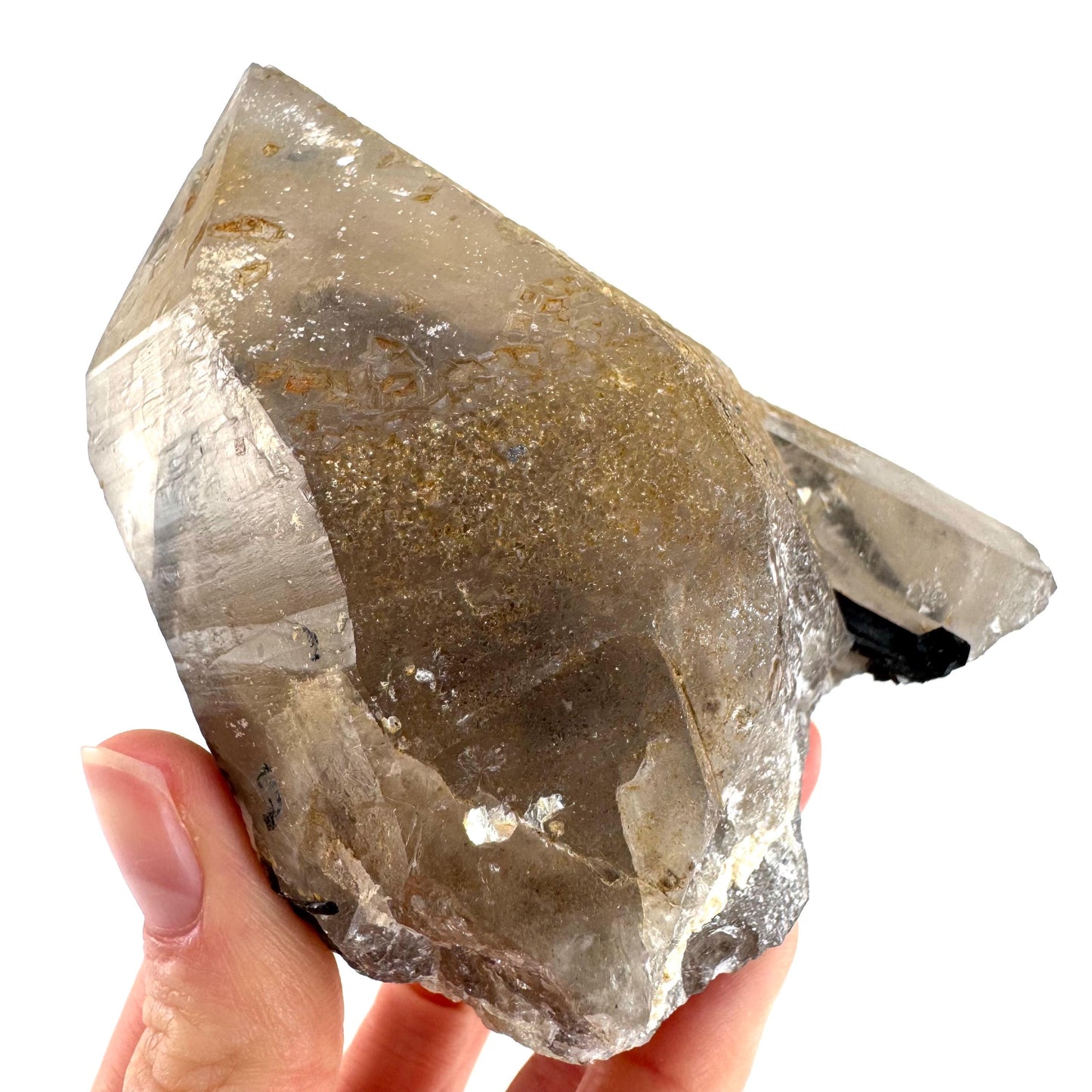 Black Tourmaline on Smoky Quartz | schorl crystal cluster, mineral specimen from Namibia