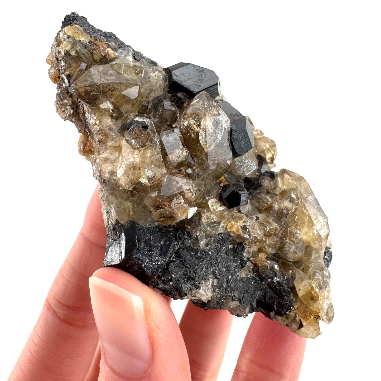 Black Tourmaline on Smoky Quartz | schorl crystal cluster, mineral specimen from Namibia