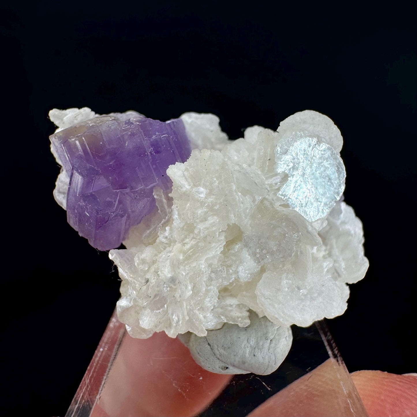 Purple Fluorapatite on Albite | natural crystal, rare mineral specimen from Afghanistan