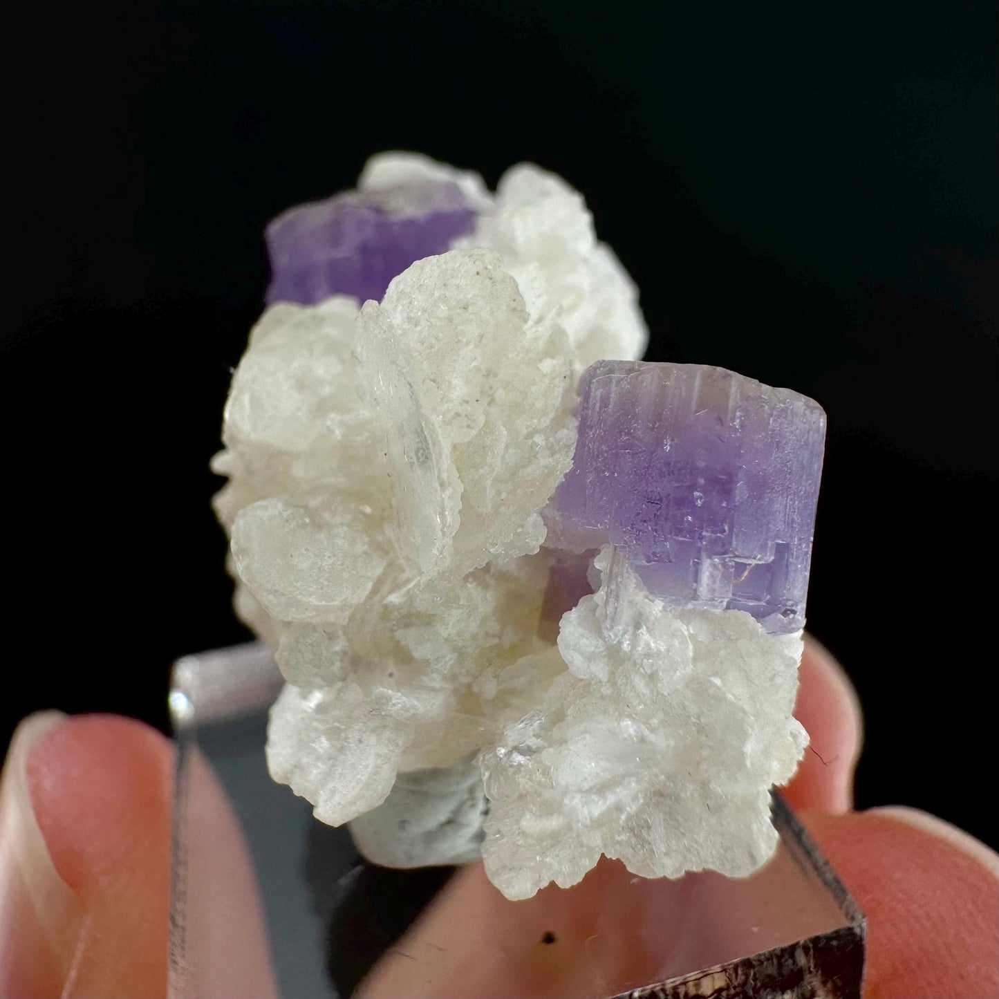 Purple Fluorapatite on Albite | natural crystal, rare mineral specimen from Afghanistan
