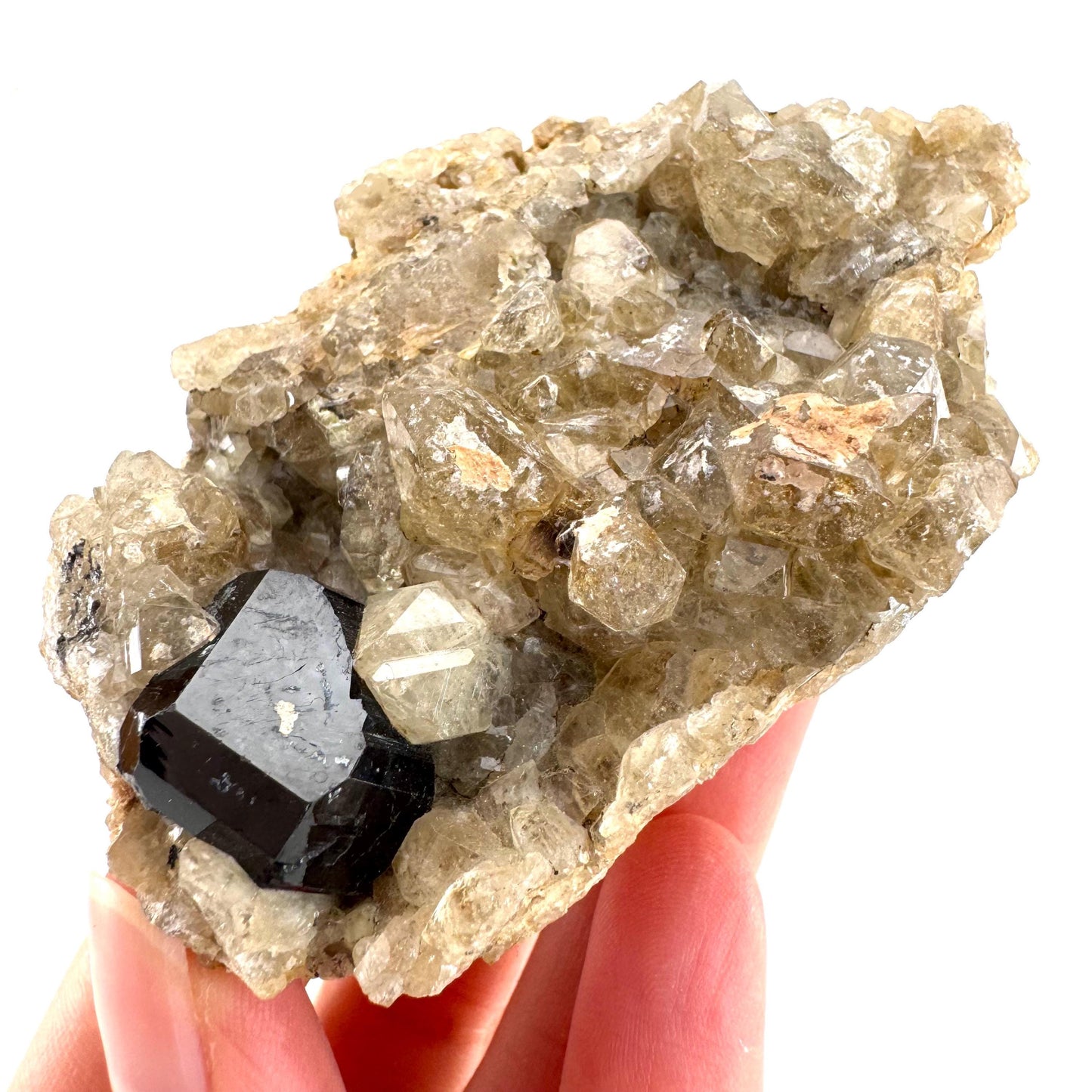 Black Tourmaline on Smoky Quartz | schorl crystal cluster, mineral specimen from Namibia