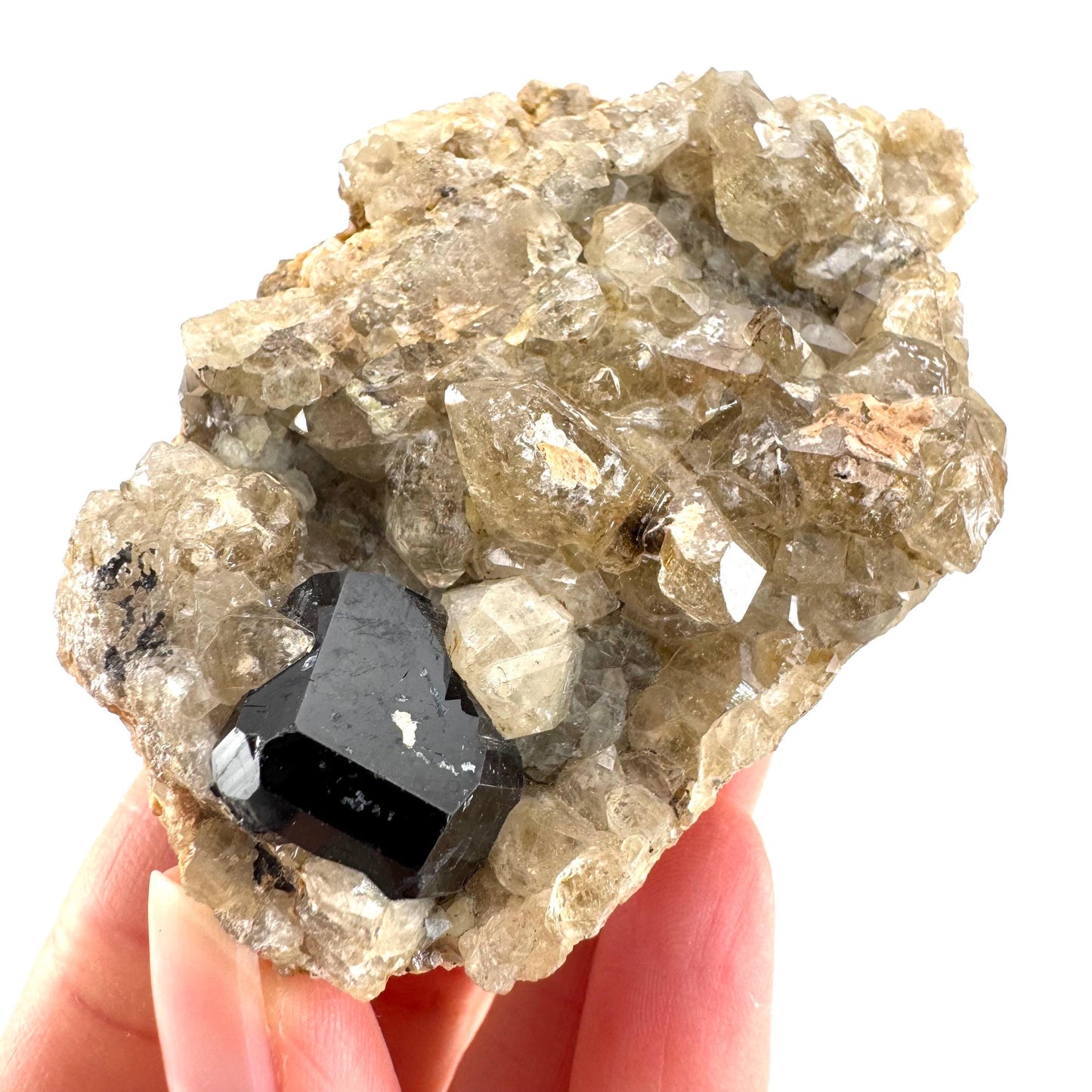 Black Tourmaline on Smoky Quartz | schorl crystal cluster, mineral specimen from Namibia