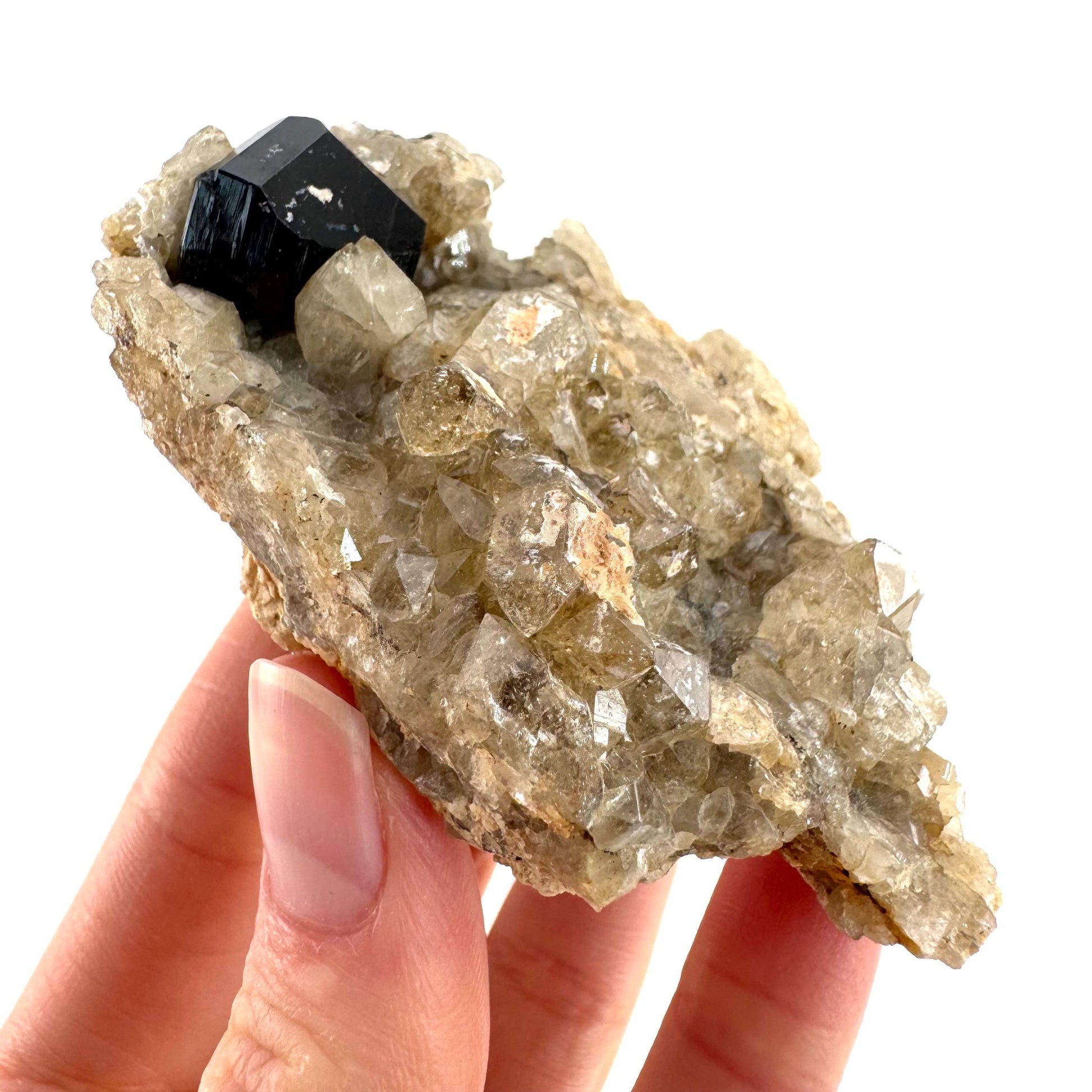 Black Tourmaline on Smoky Quartz | schorl crystal cluster, mineral specimen from Namibia