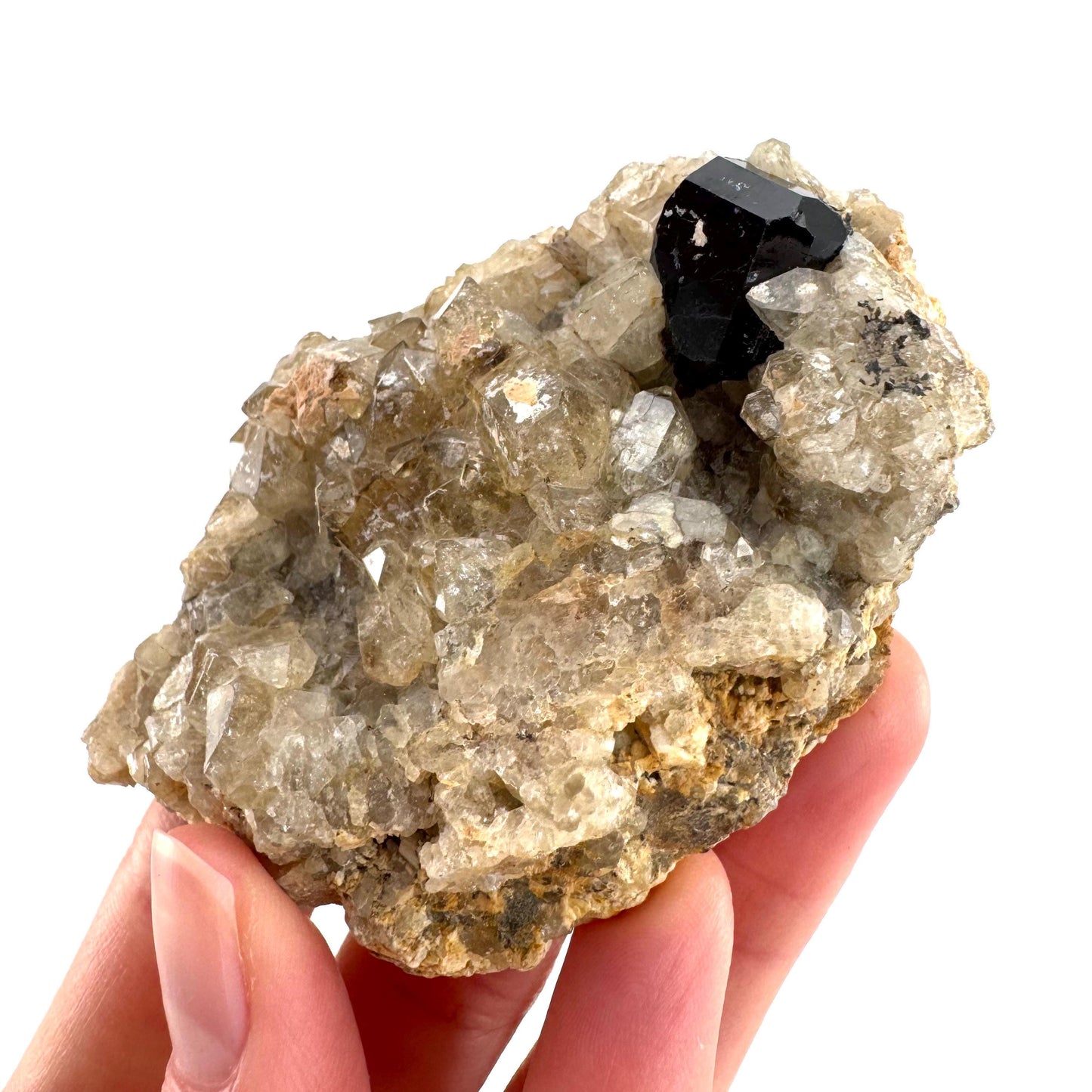 Black Tourmaline on Smoky Quartz | schorl crystal cluster, mineral specimen from Namibia