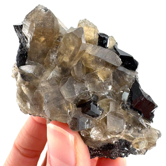 Black Tourmaline on Smoky Quartz | schorl crystal cluster, mineral specimen from Namibia