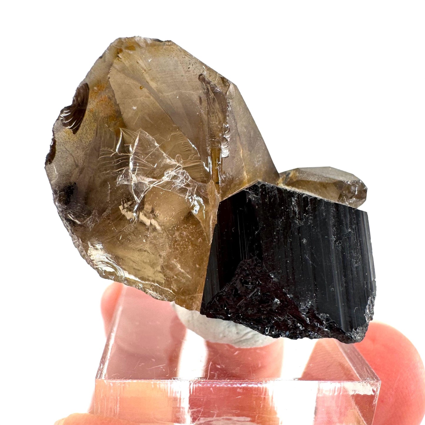 Black Tourmaline on Smoky Quartz | schorl crystal cluster, mineral specimen from Namibia