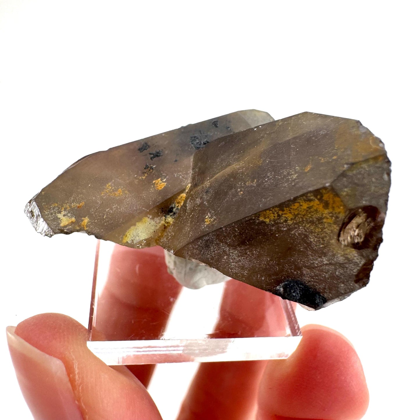 Black Tourmaline on Smoky Quartz | schorl crystal cluster, mineral specimen from Namibia