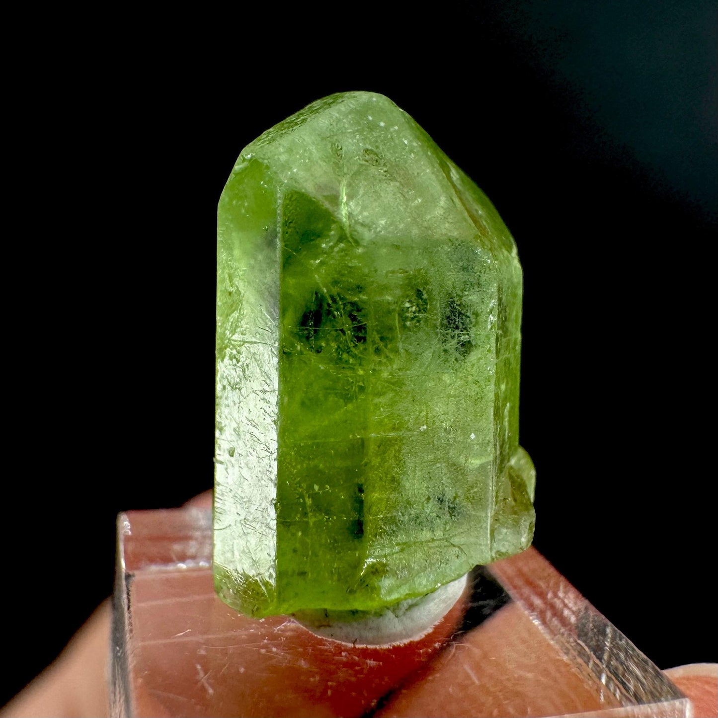 Peridot | natural terminated crystal, mineral specimen from Pakistan