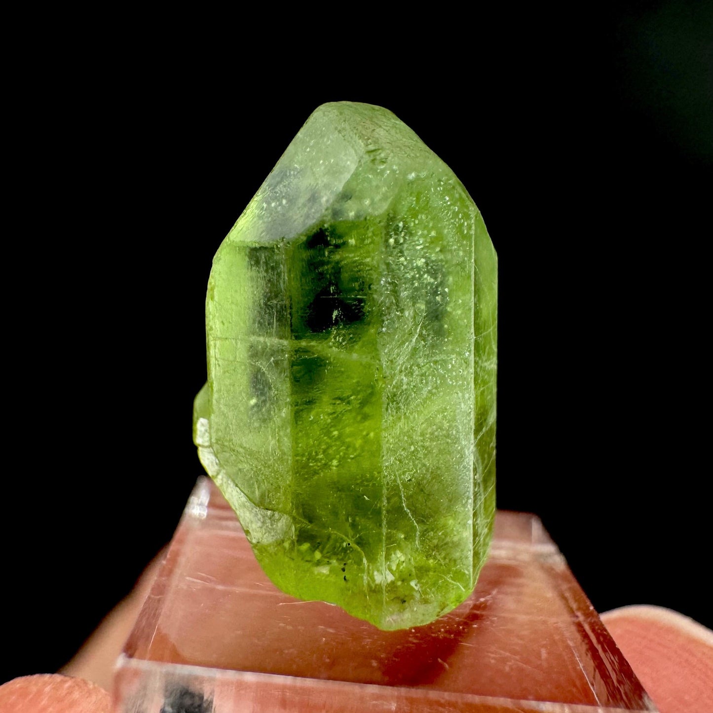 Peridot | natural terminated crystal, mineral specimen from Pakistan