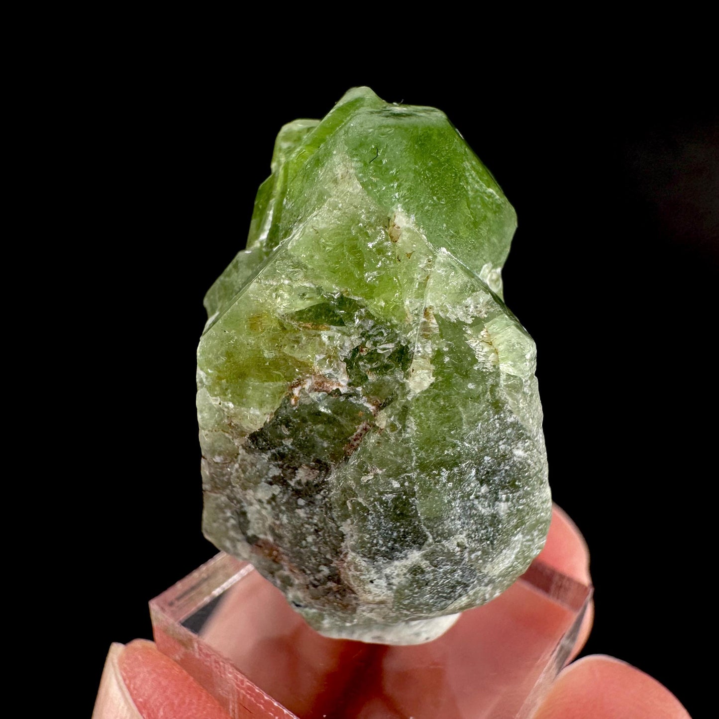 Peridot | natural terminated crystal, mineral specimen from Pakistan
