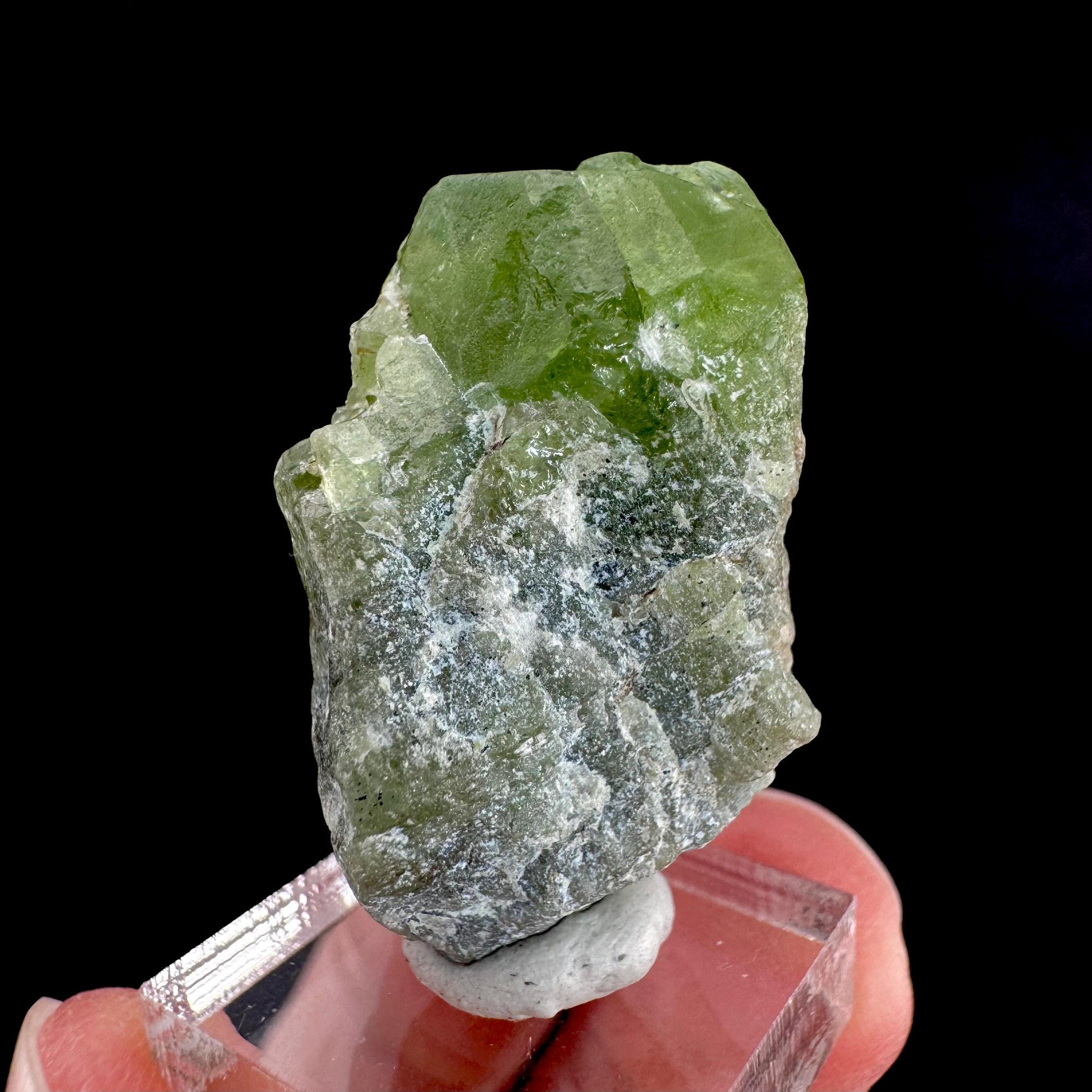Peridot | natural terminated crystal, mineral specimen from Pakistan