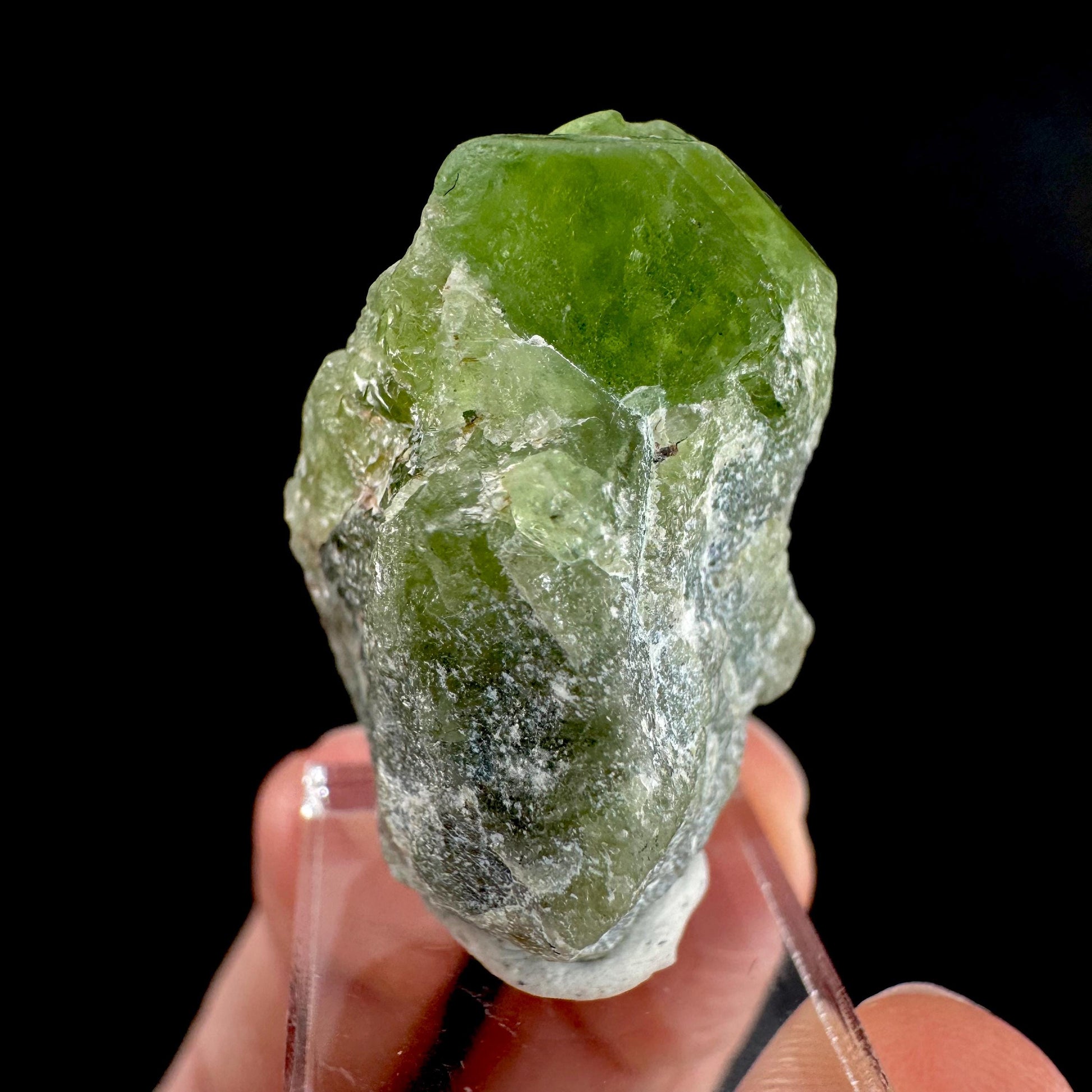 Peridot | natural terminated crystal, mineral specimen from Pakistan
