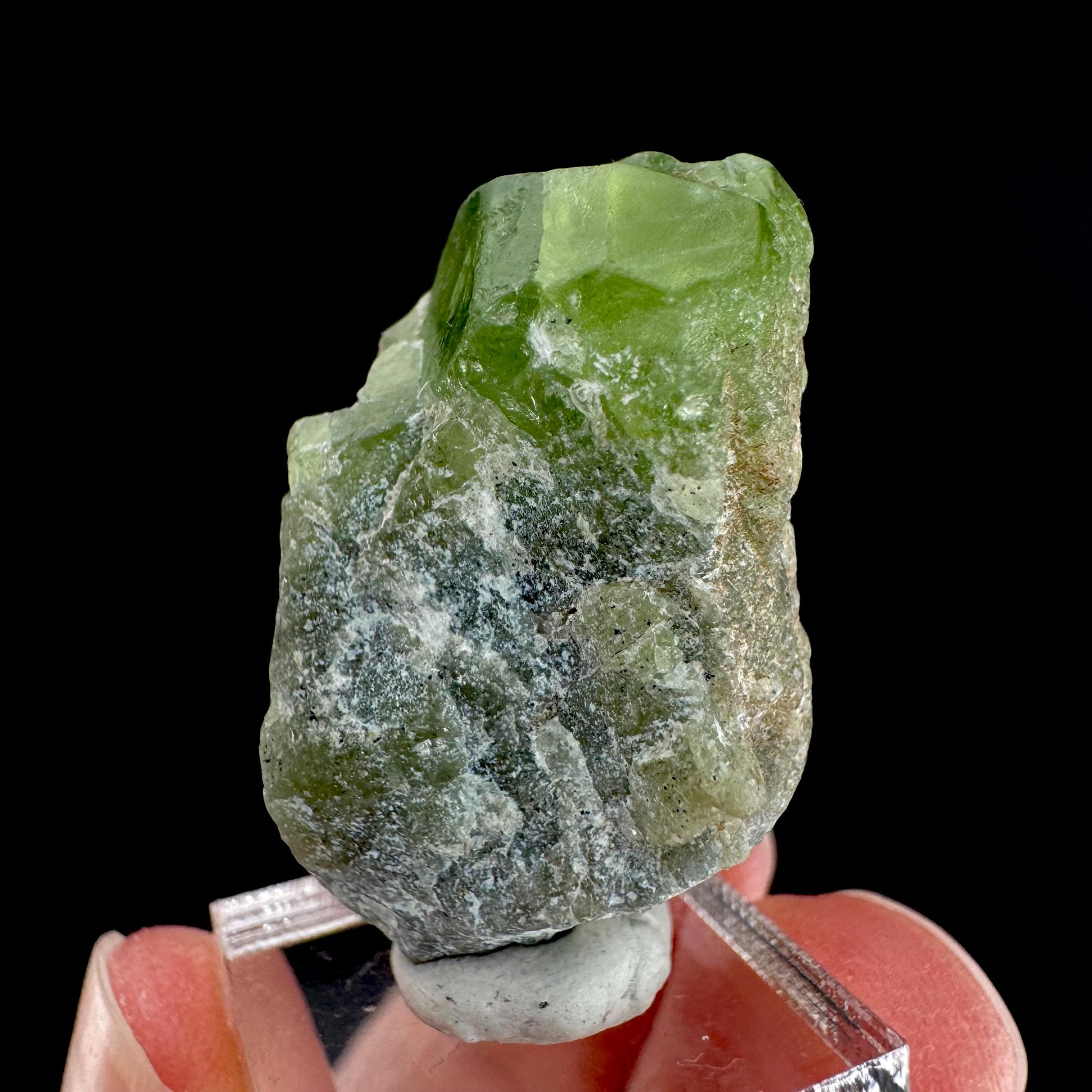 Peridot | natural terminated crystal, mineral specimen from Pakistan