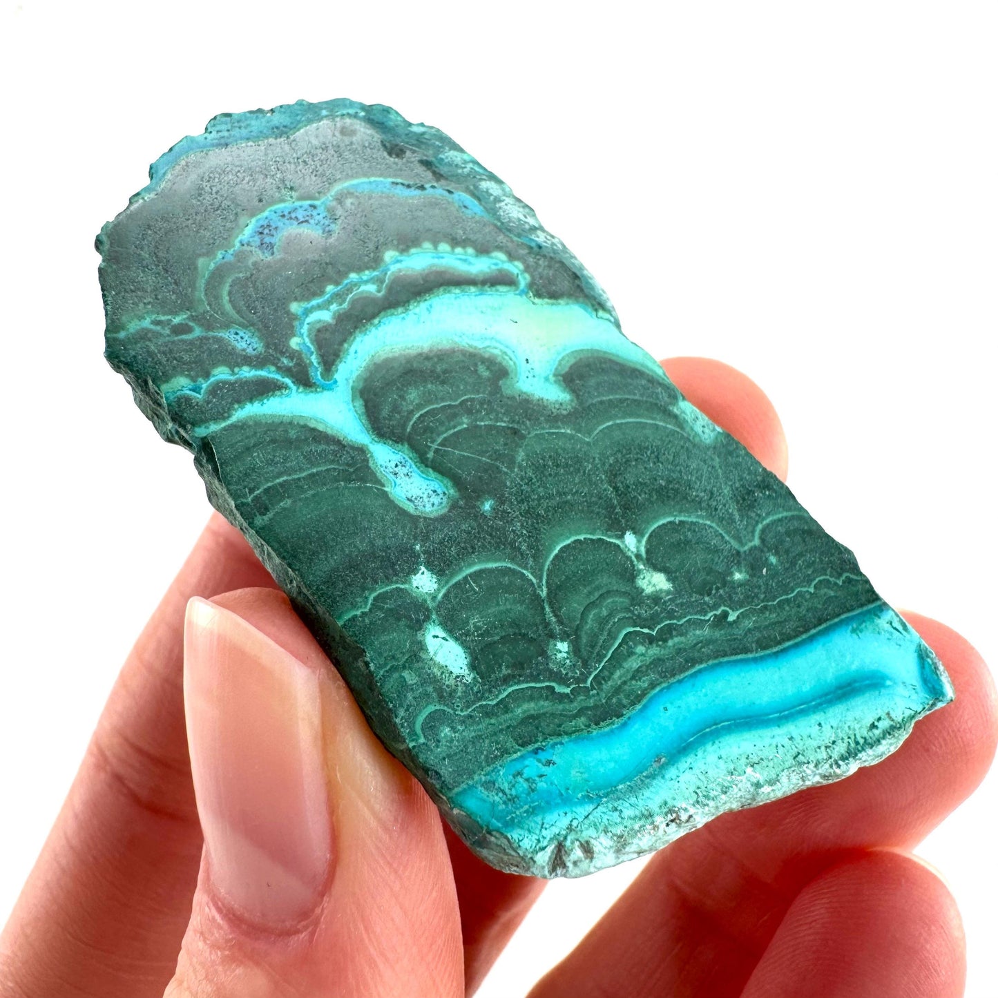 Malachite & Chrysocolla Slice | Polished Malacolla Crystal Slab