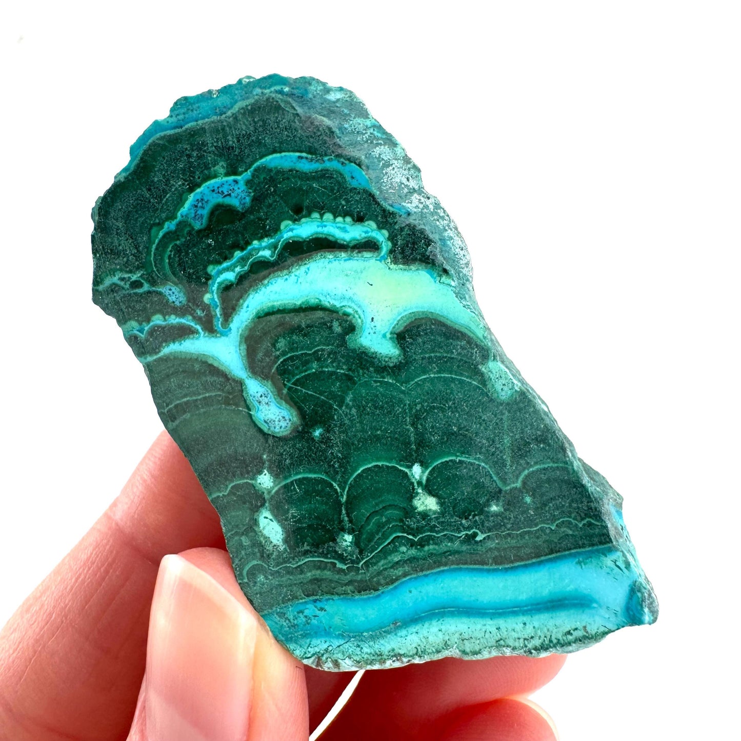 Malachite & Chrysocolla Slice | Polished Malacolla Crystal Slab