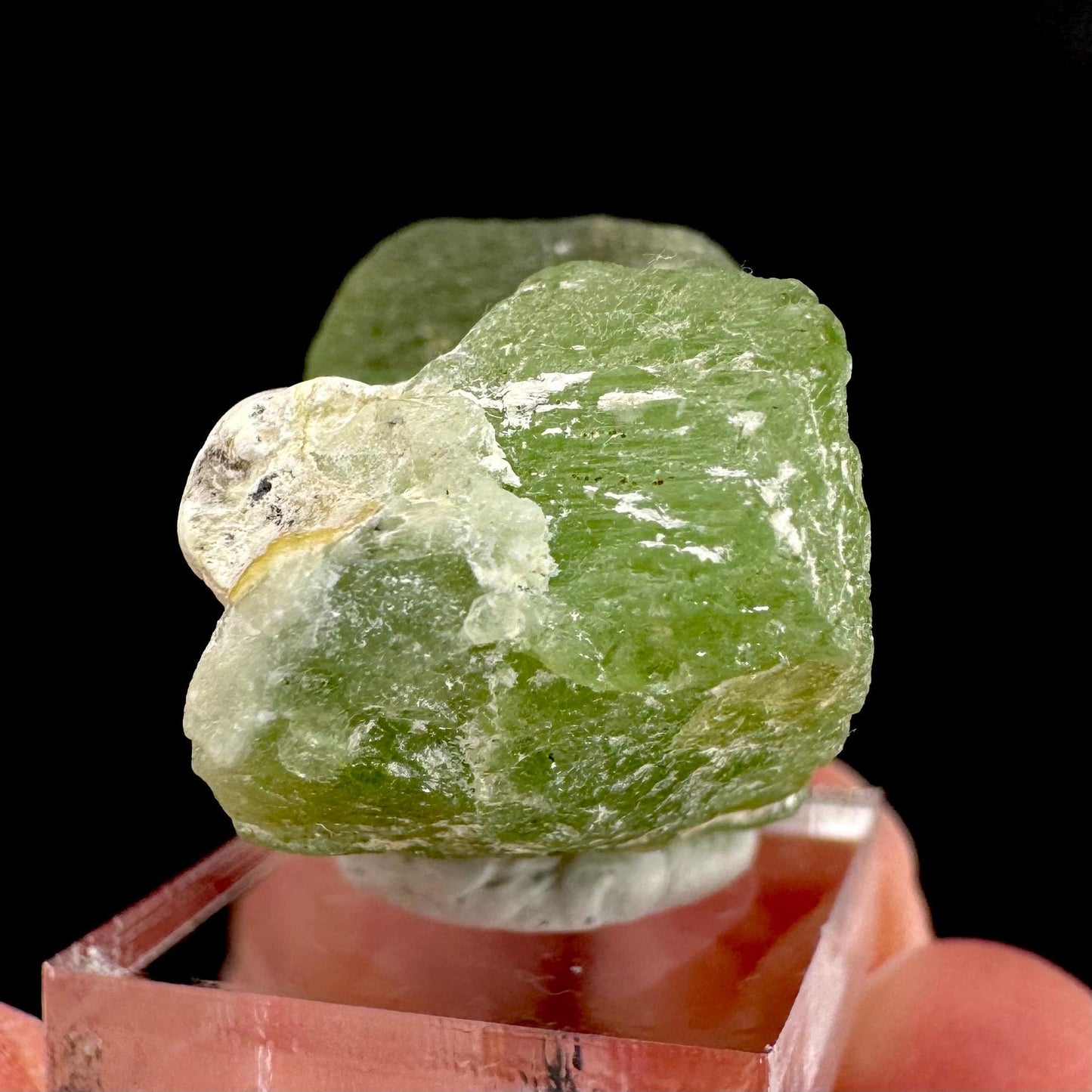 Peridot | natural terminated crystal, mineral specimen from Pakistan