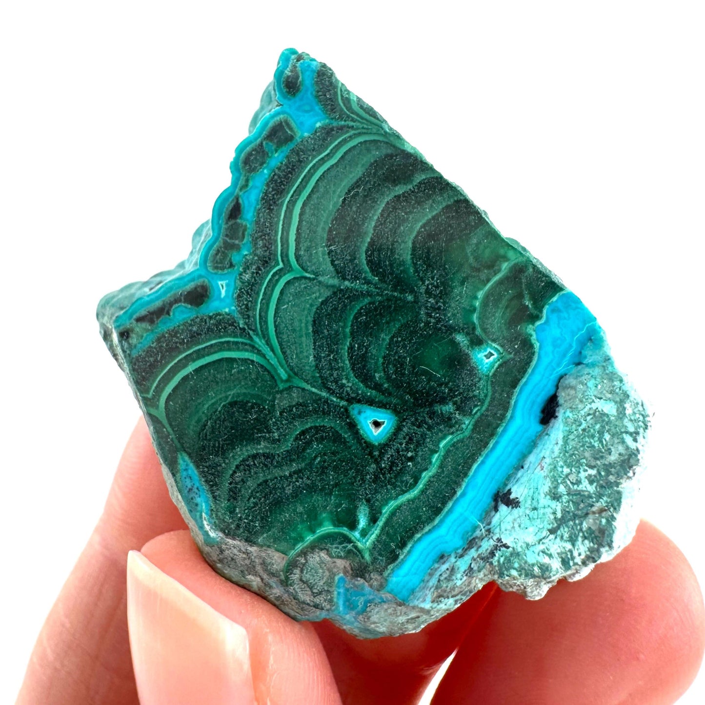 Malachite & Chrysocolla Slice | Polished Malacolla Crystal Slab