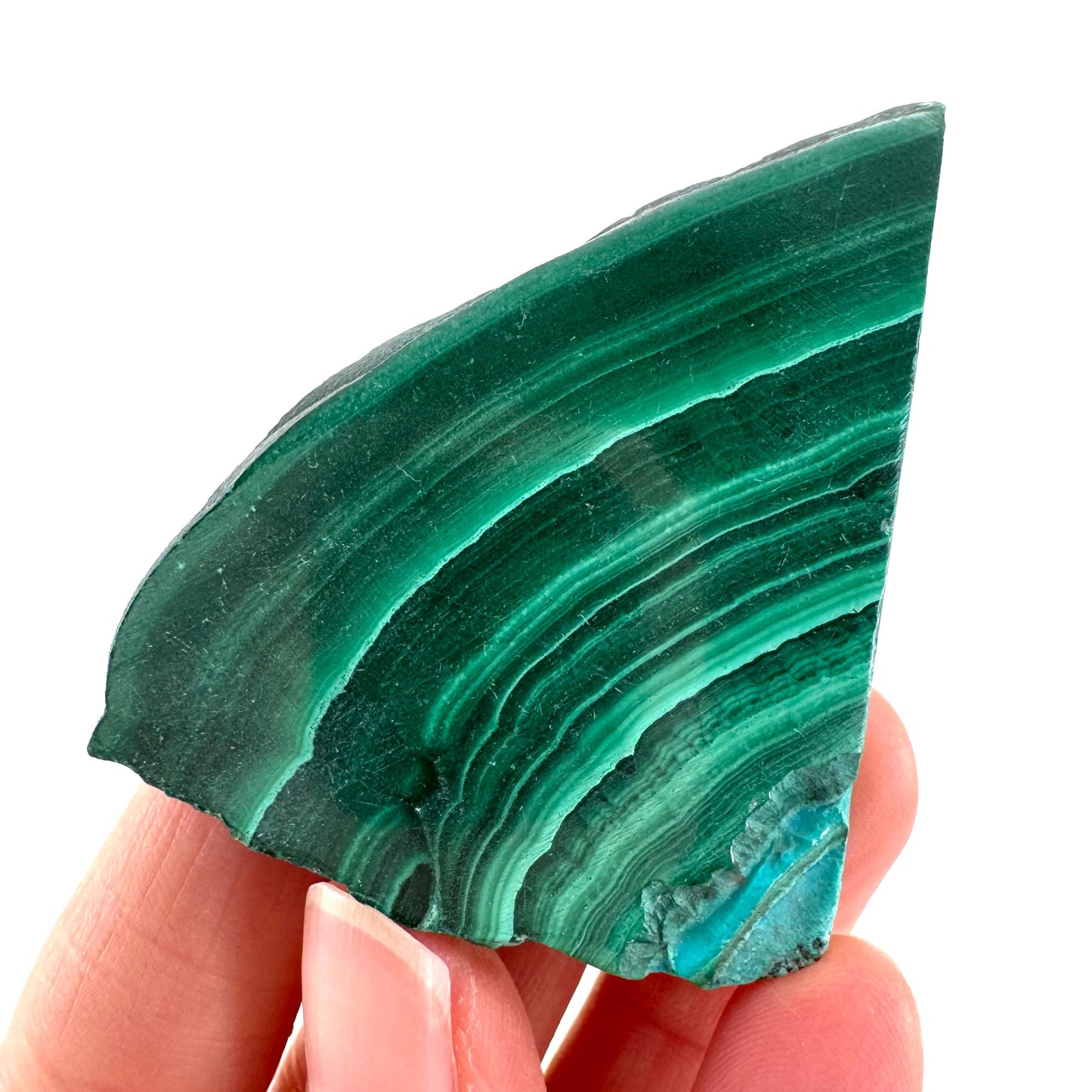 Malachite & Chrysocolla Slice | Polished Malacolla Crystal Slab