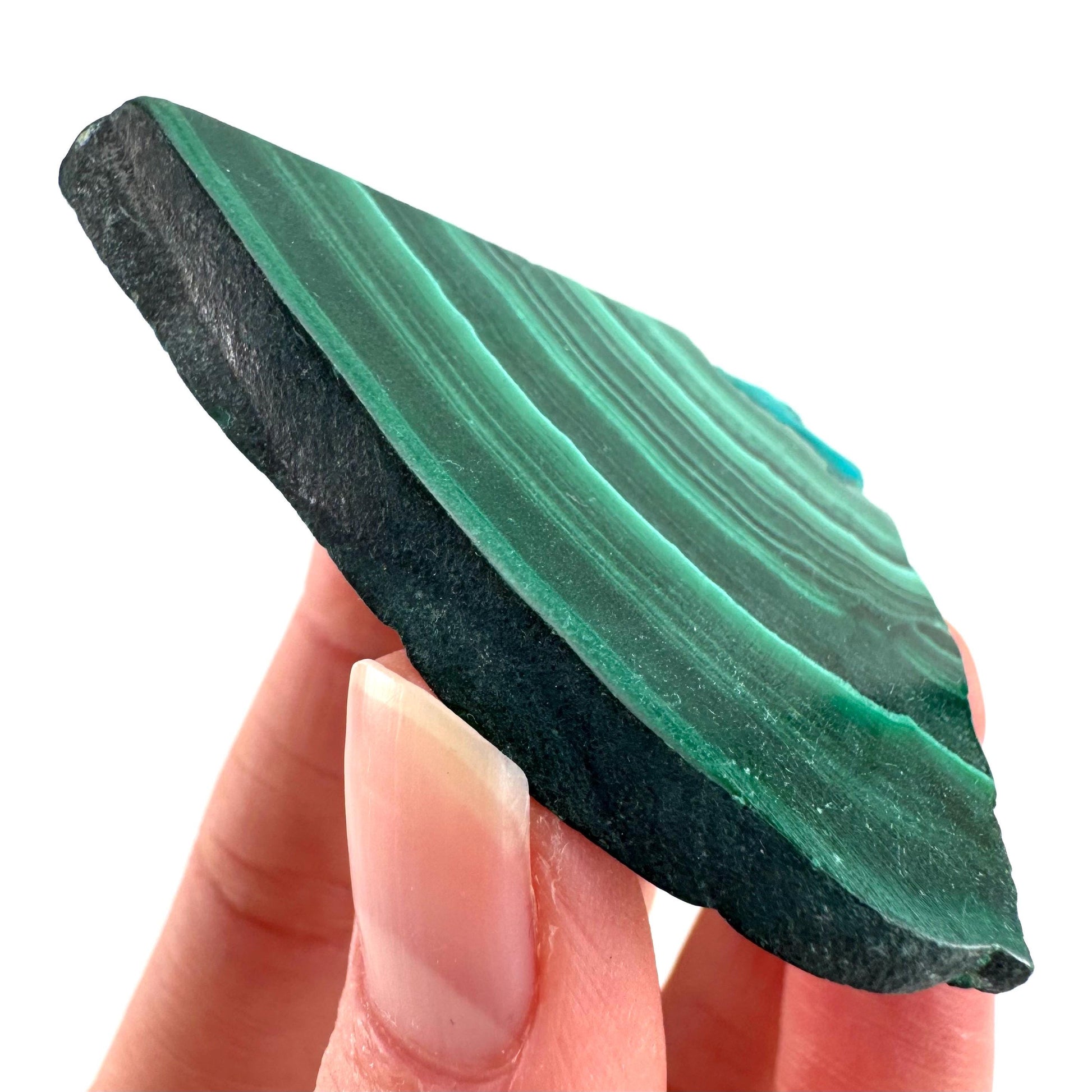 Malachite & Chrysocolla Slice | Polished Malacolla Crystal Slab