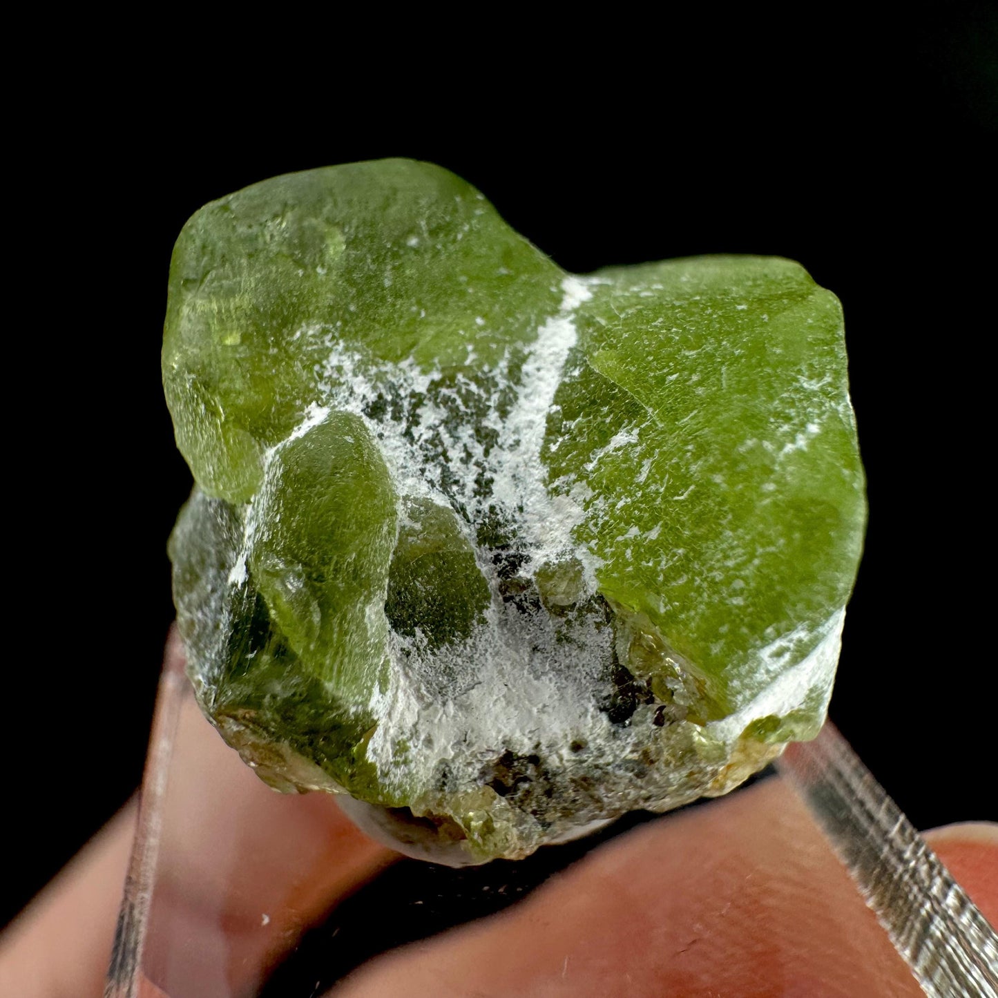 Peridot | natural terminated crystal, mineral specimen from Pakistan