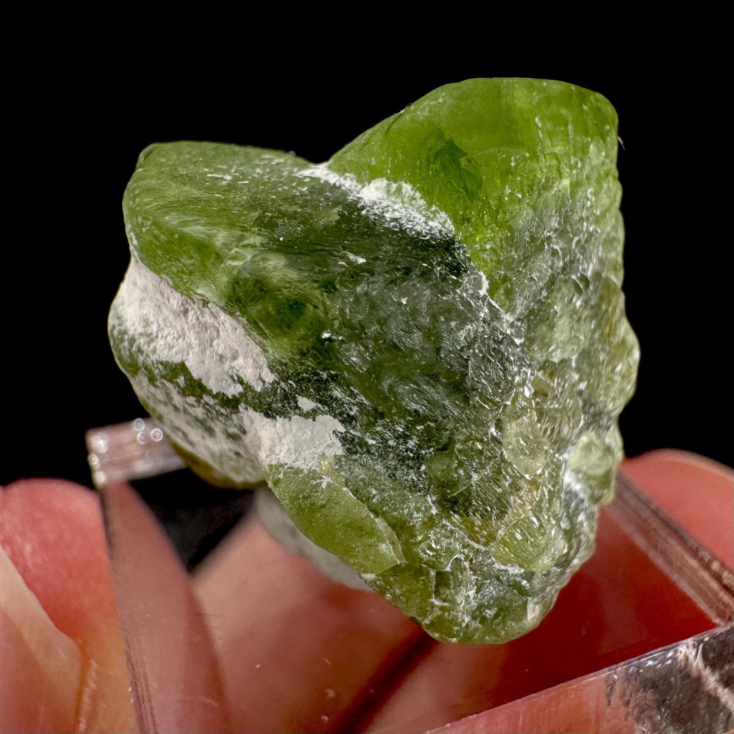 Peridot | natural terminated crystal, mineral specimen from Pakistan