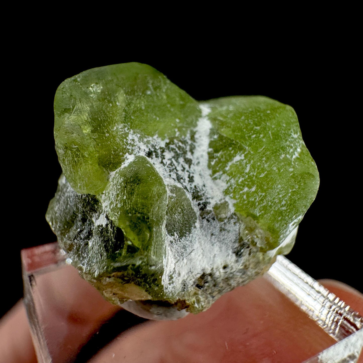 Peridot | natural terminated crystal, mineral specimen from Pakistan