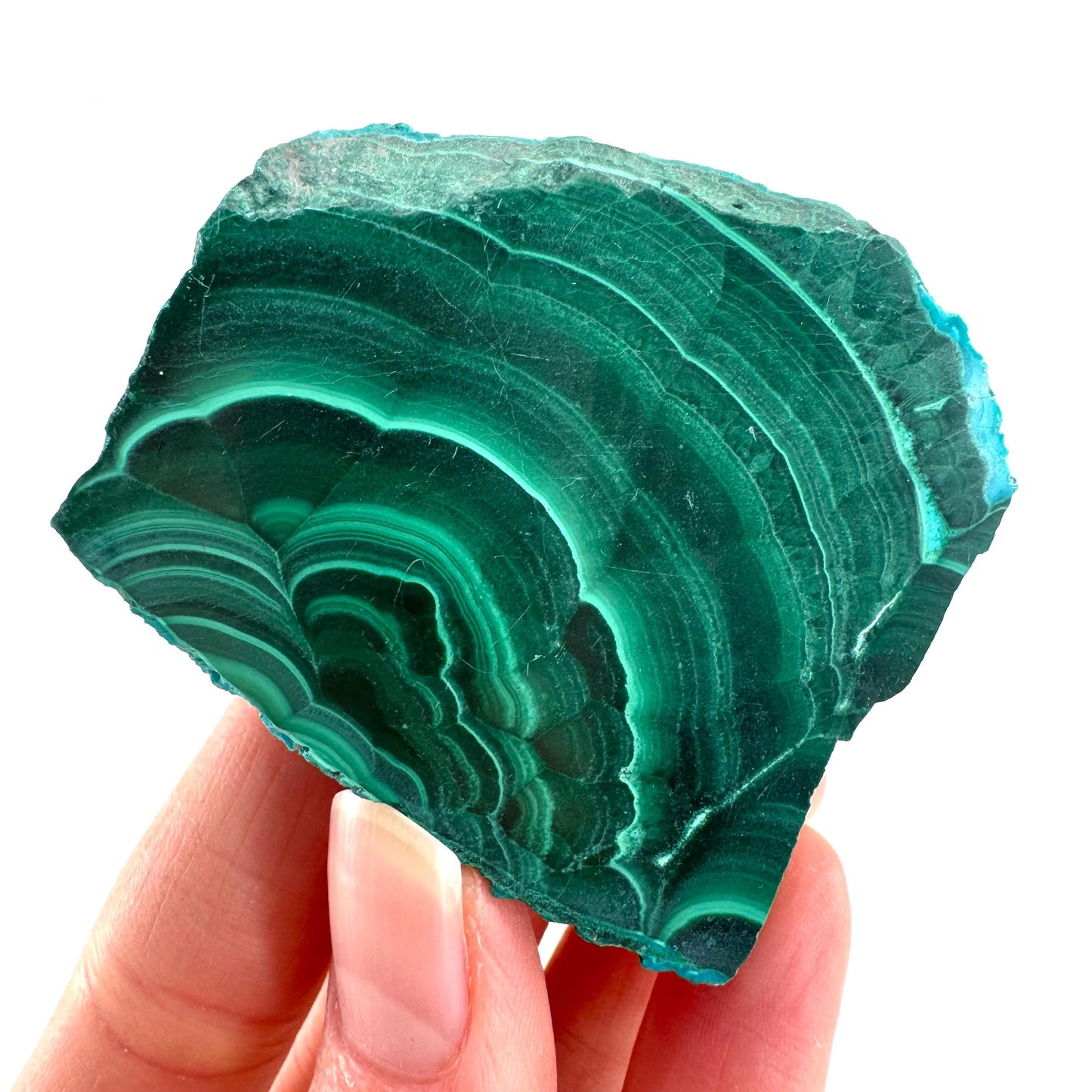 Malachite & Chrysocolla Slice | Polished Malacolla Crystal Slab