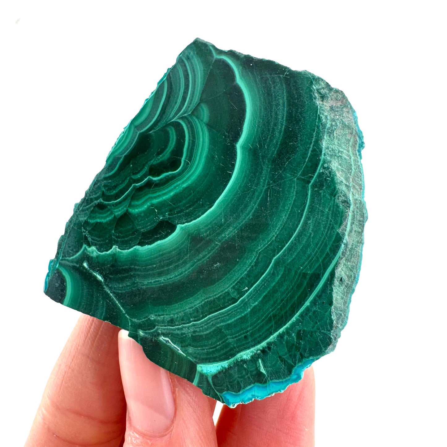 Malachite & Chrysocolla Slice | Polished Malacolla Crystal Slab