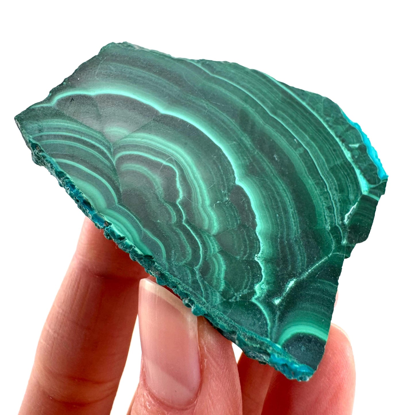 Malachite & Chrysocolla Slice | Polished Malacolla Crystal Slab
