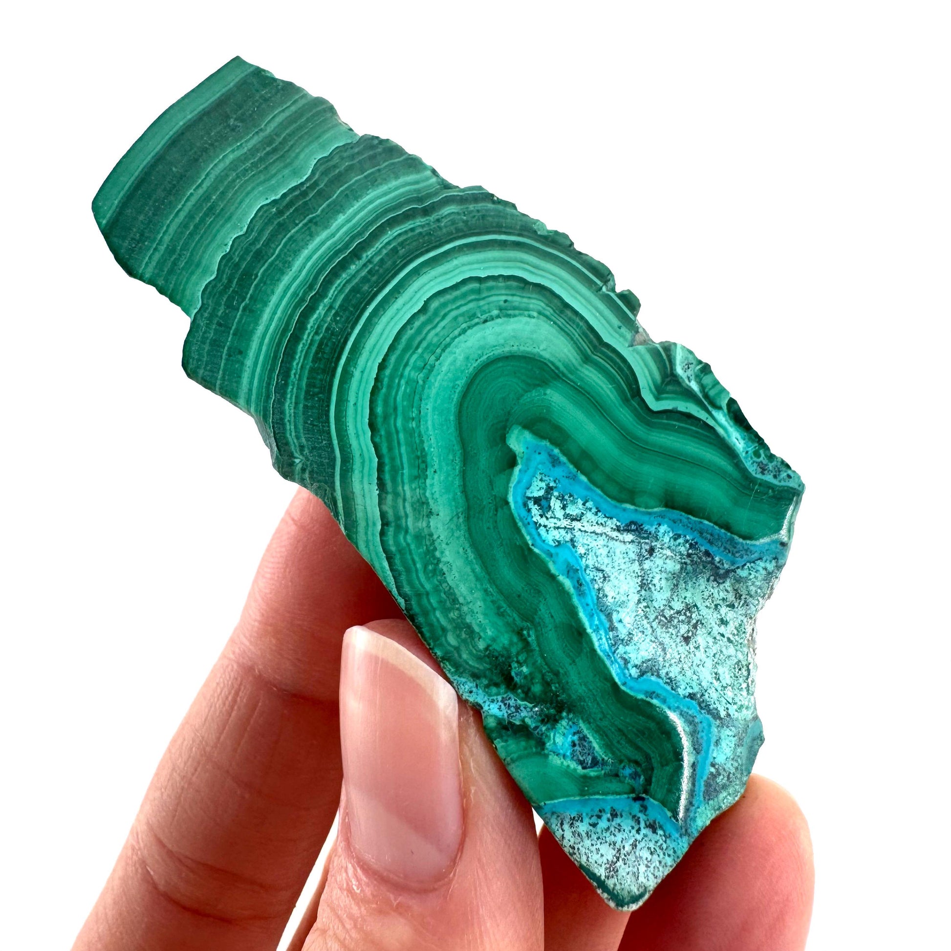 Malachite & Chrysocolla Slice | Polished Malacolla Crystal Slab