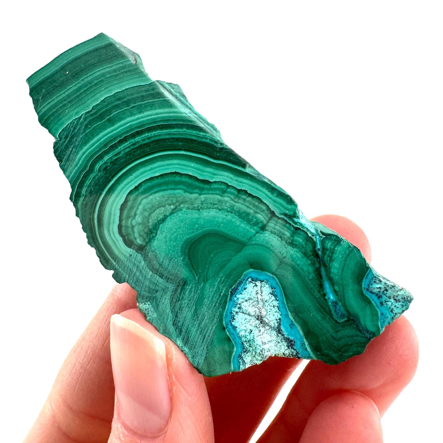 Malachite & Chrysocolla Slice | Polished Malacolla Crystal Slab