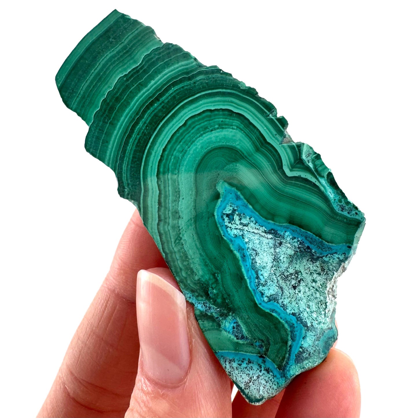 Malachite & Chrysocolla Slice | Polished Malacolla Crystal Slab