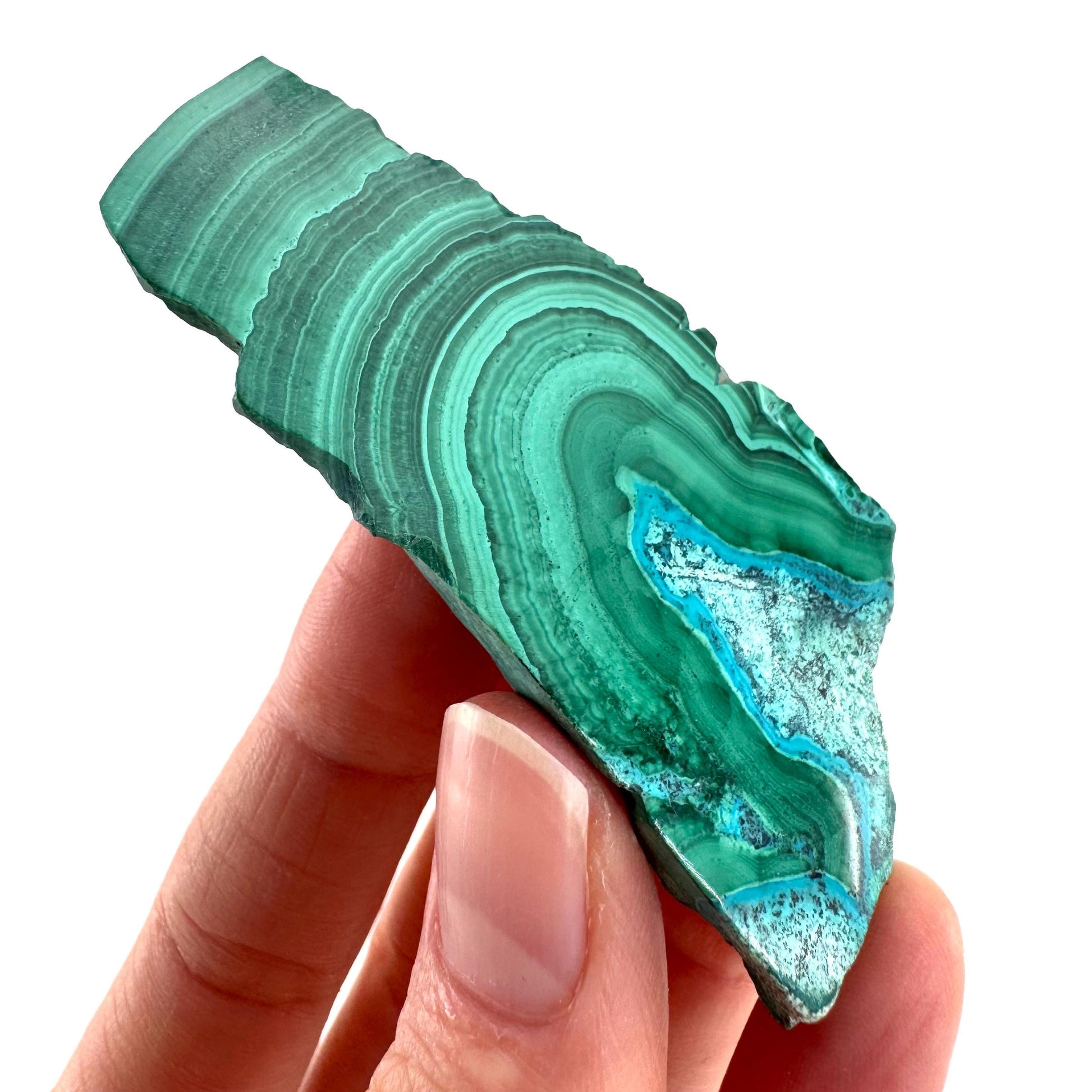 Malachite & Chrysocolla Slice | Polished Malacolla Crystal Slab