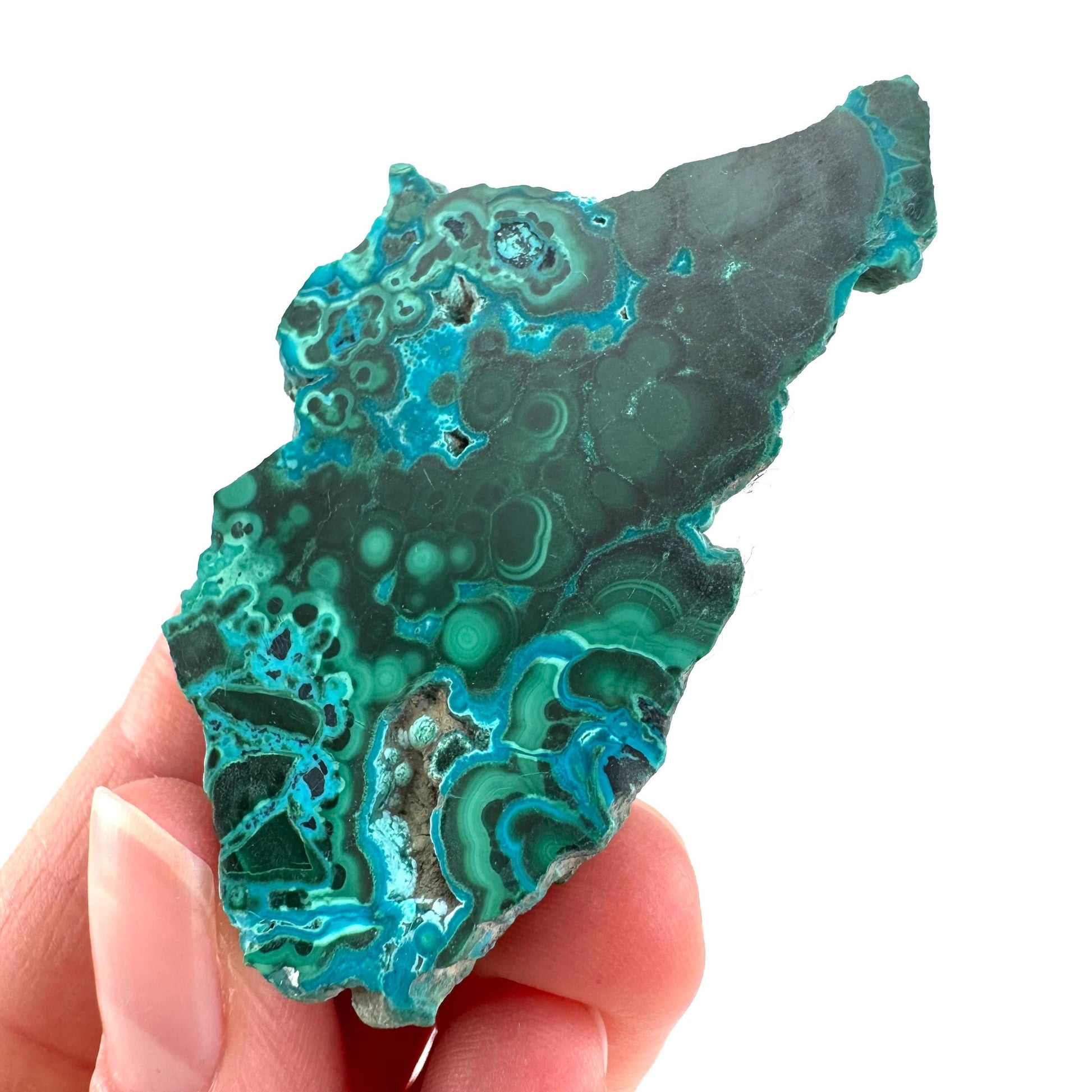 Malachite & Chrysocolla Slice | Polished Malacolla Crystal Slab