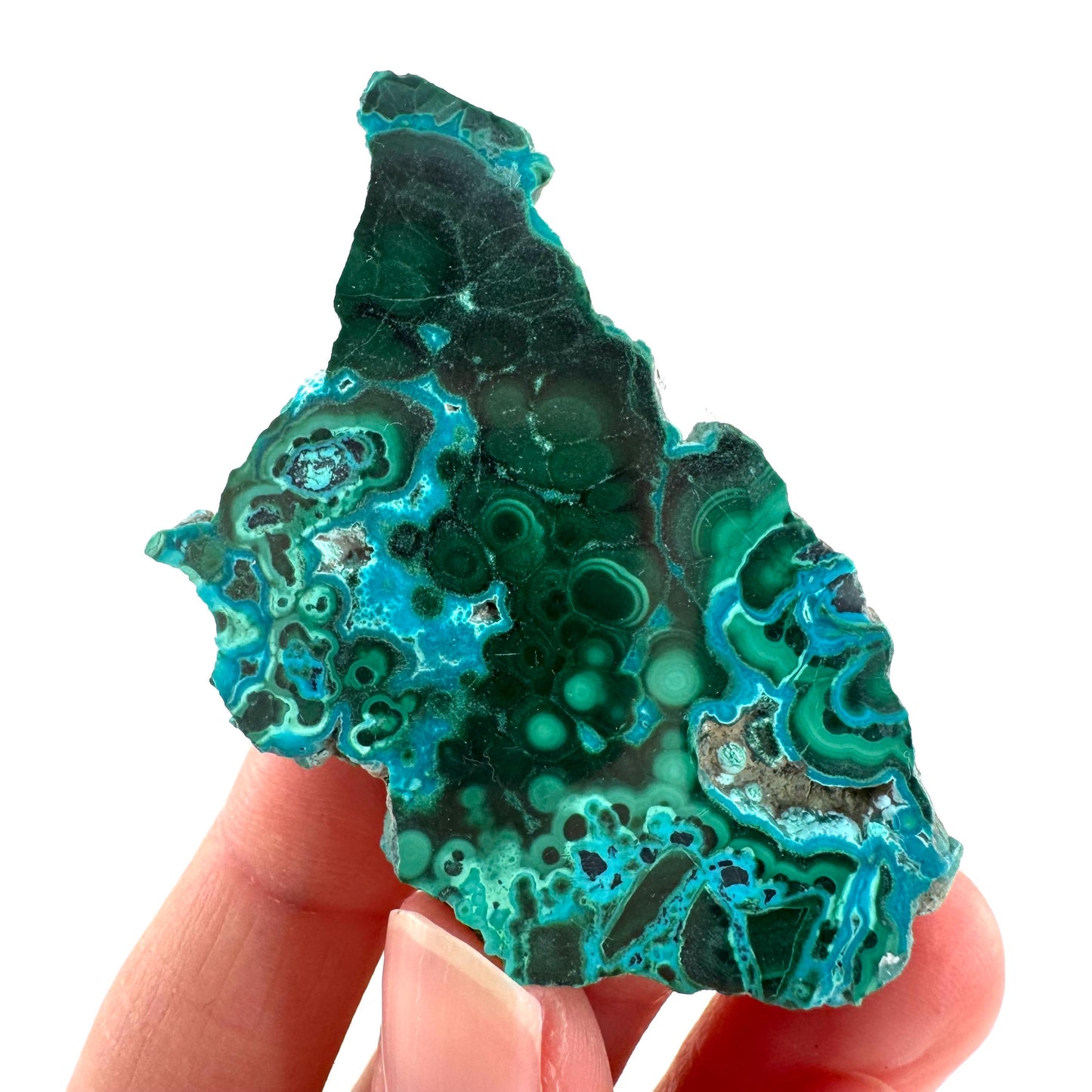 Malachite & Chrysocolla Slice | Polished Malacolla Crystal Slab