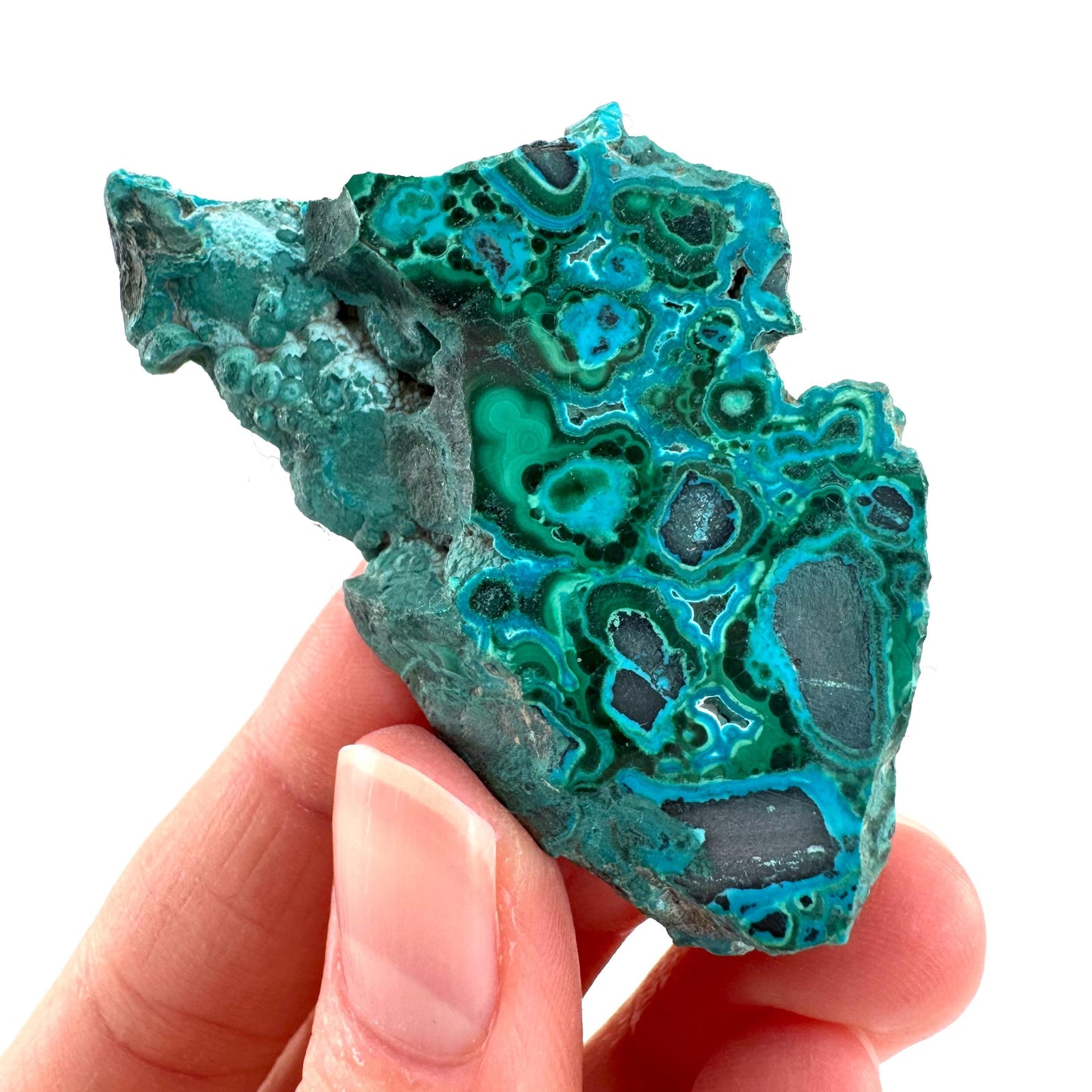 Malachite & Chrysocolla Slice | Polished Malacolla Crystal Slab