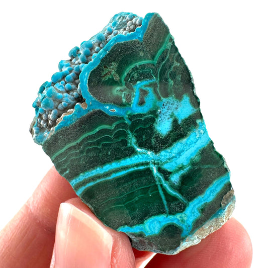Malachite & Chrysocolla Slice | Polished Malacolla Crystal Slab