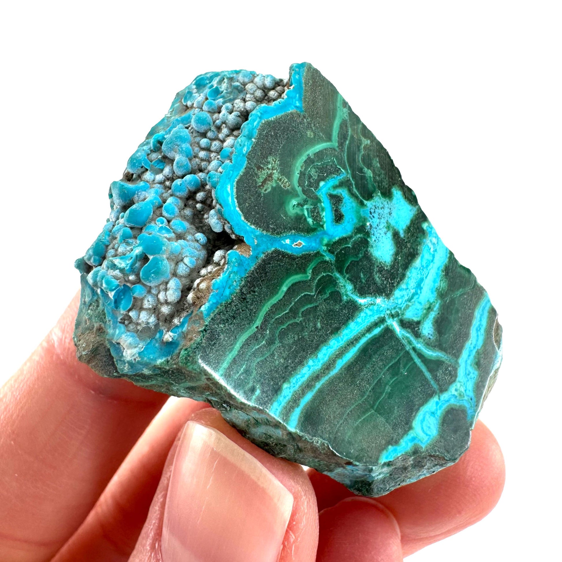 Malachite & Chrysocolla Slice | Polished Malacolla Crystal Slab