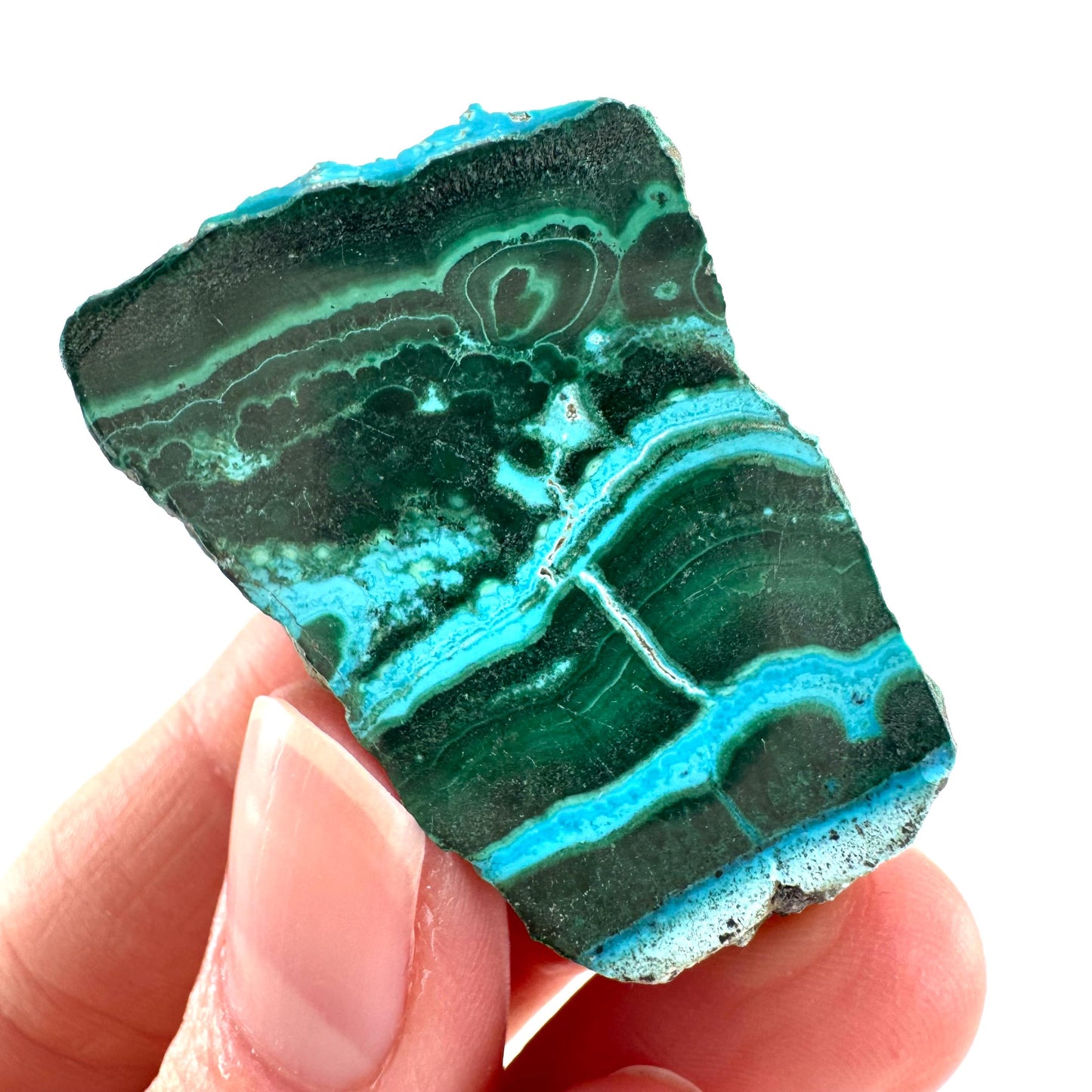 Malachite & Chrysocolla Slice | Polished Malacolla Crystal Slab