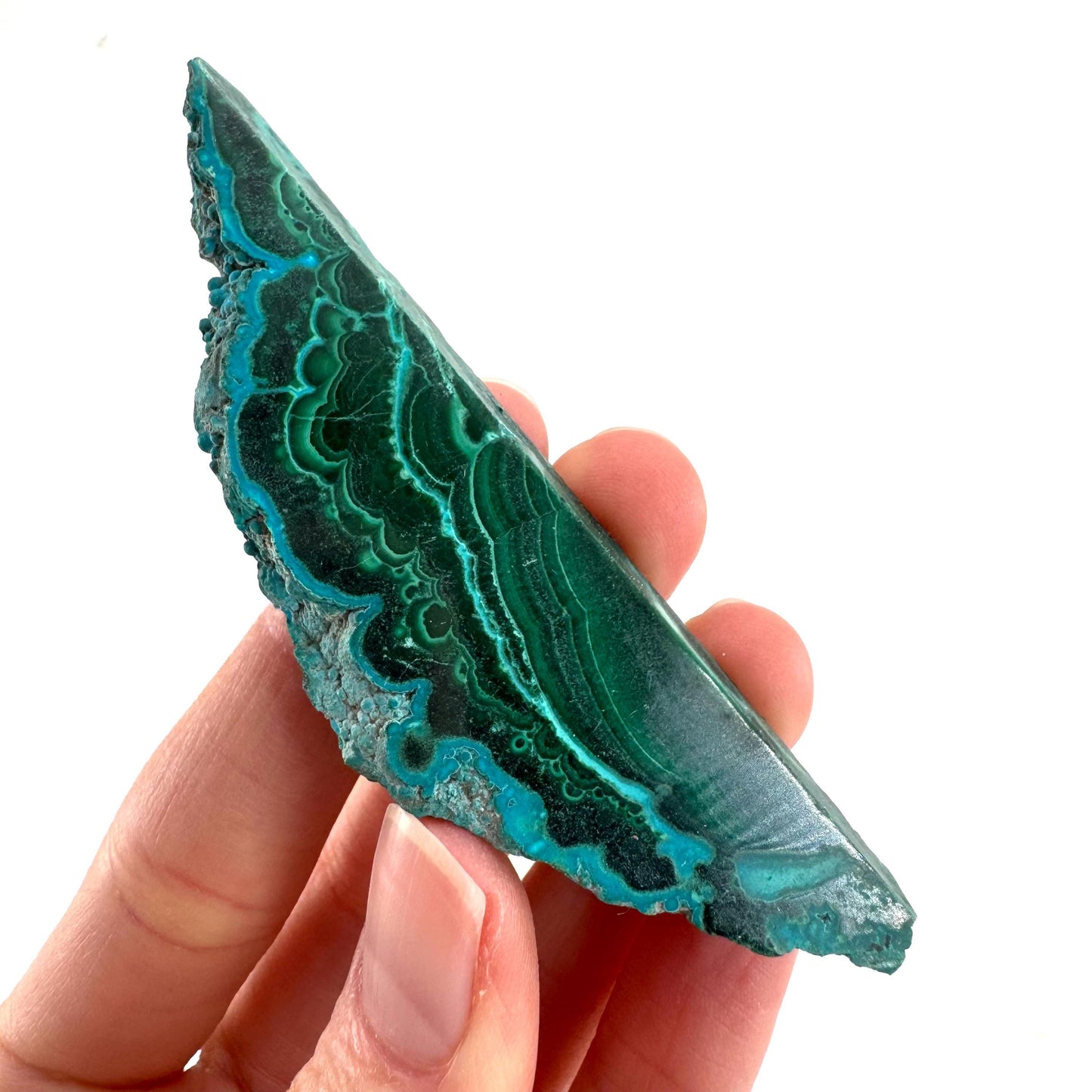 Malachite & Chrysocolla Slice | Polished Malacolla Crystal Slab