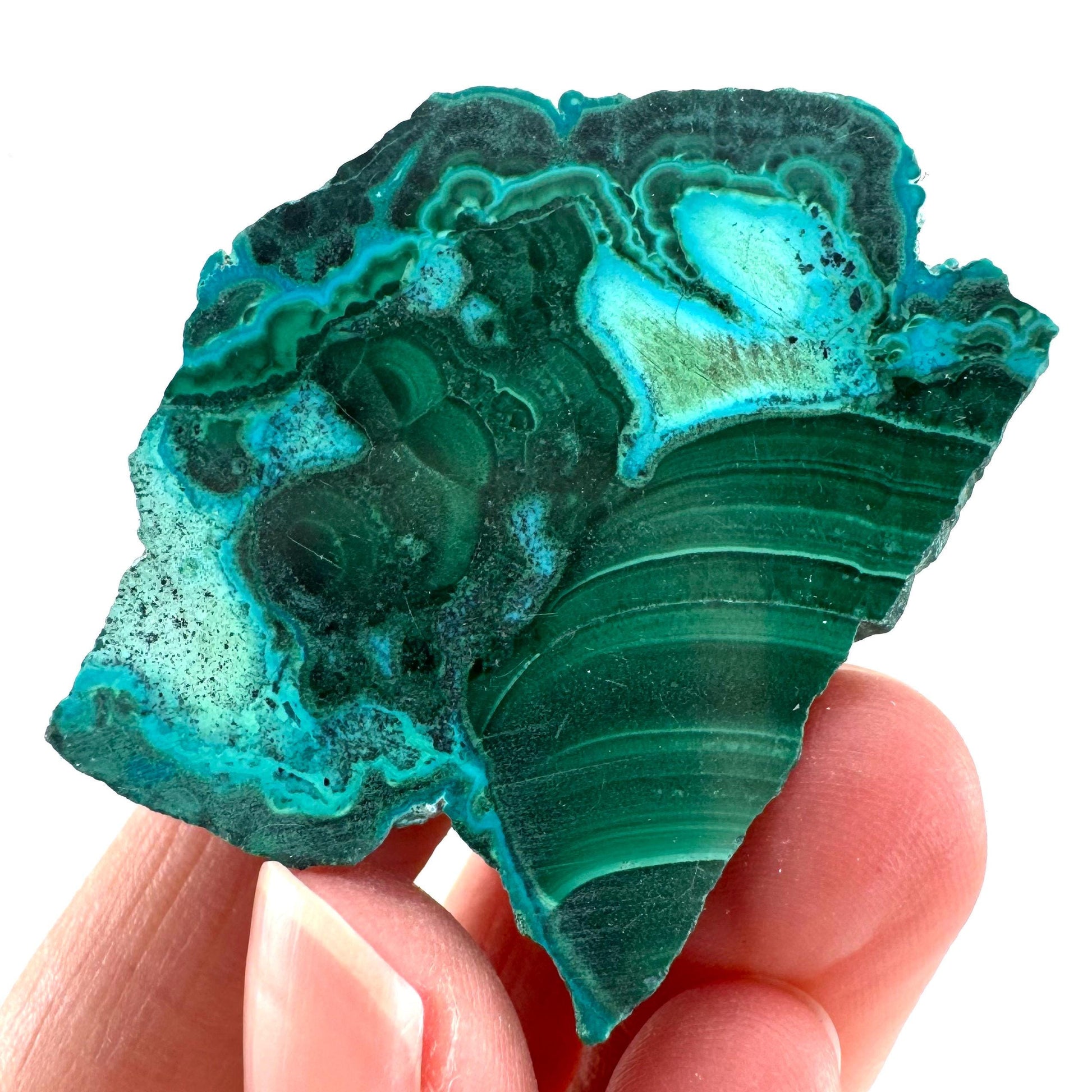 Malachite & Chrysocolla Slice | Polished Malacolla Crystal Slab