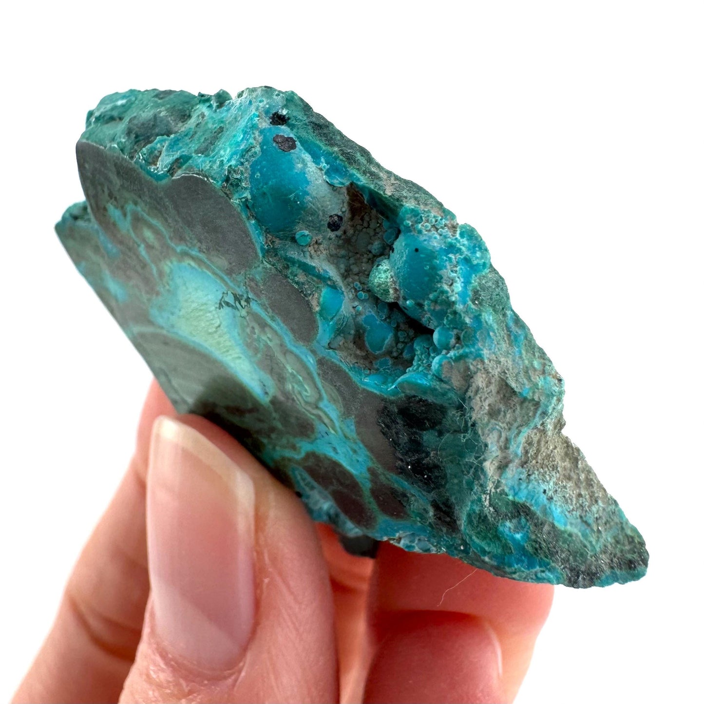 Malachite & Chrysocolla Slice | Polished Malacolla Crystal Slab