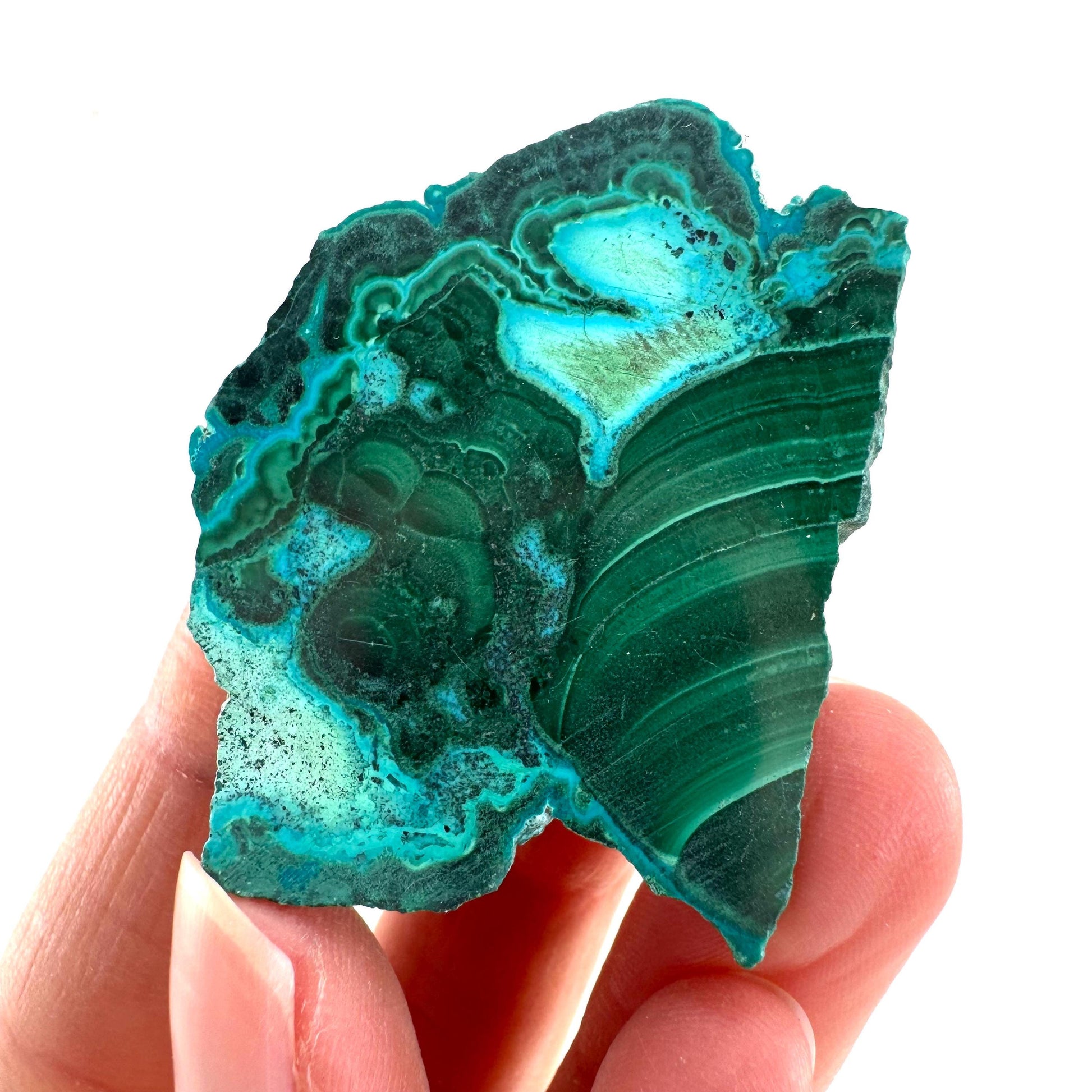 Malachite & Chrysocolla Slice | Polished Malacolla Crystal Slab